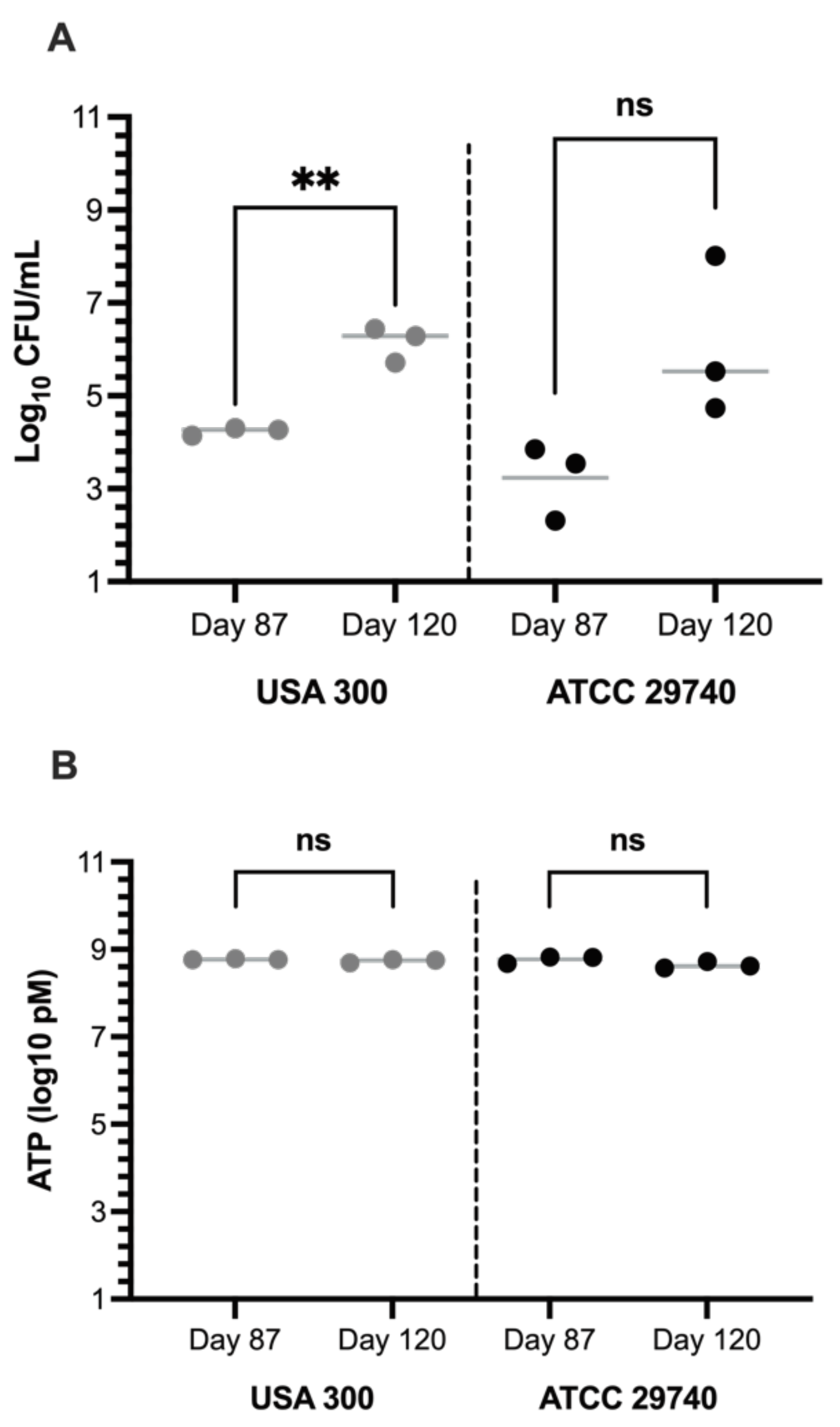 Preprints 145399 g004