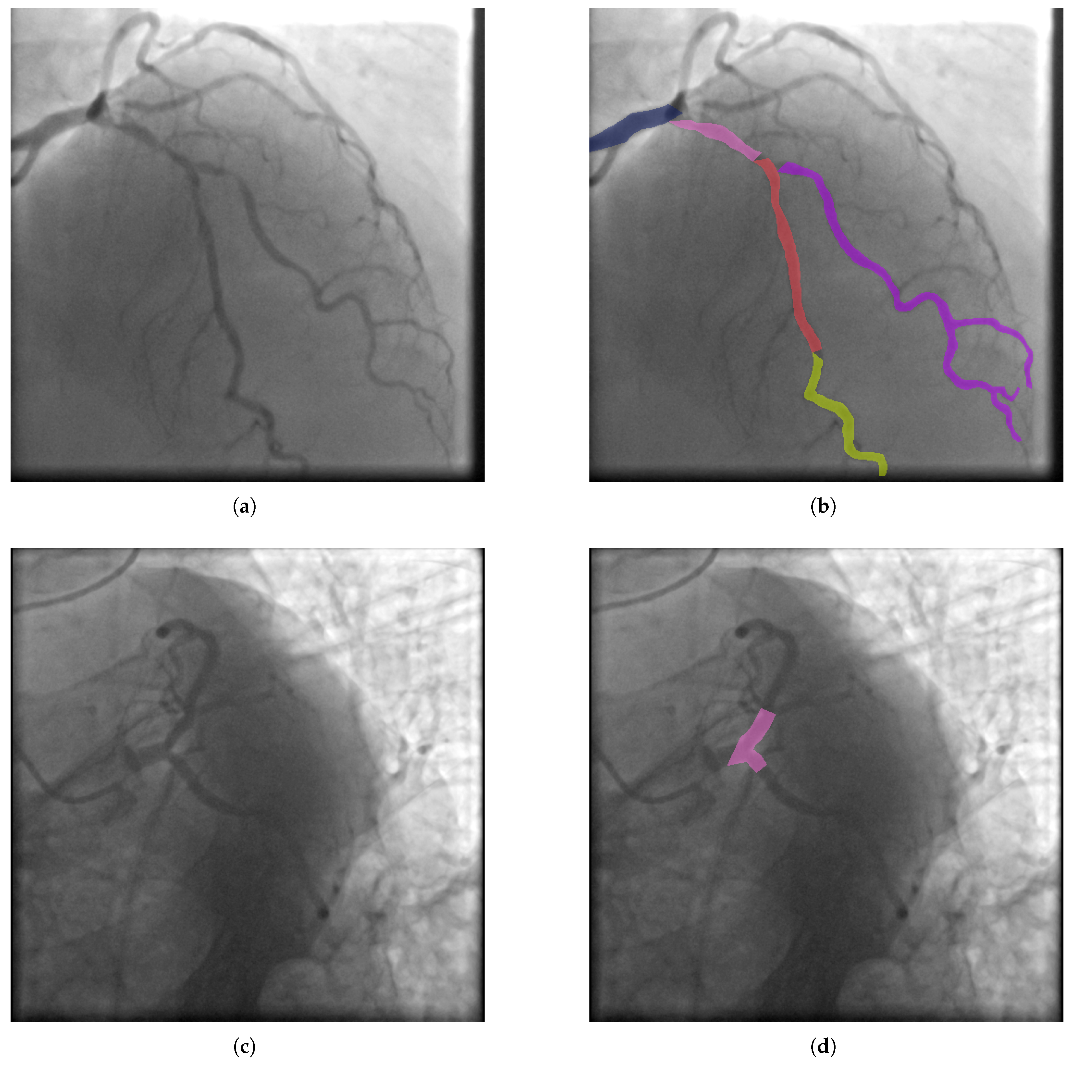 Preprints 161666 g002