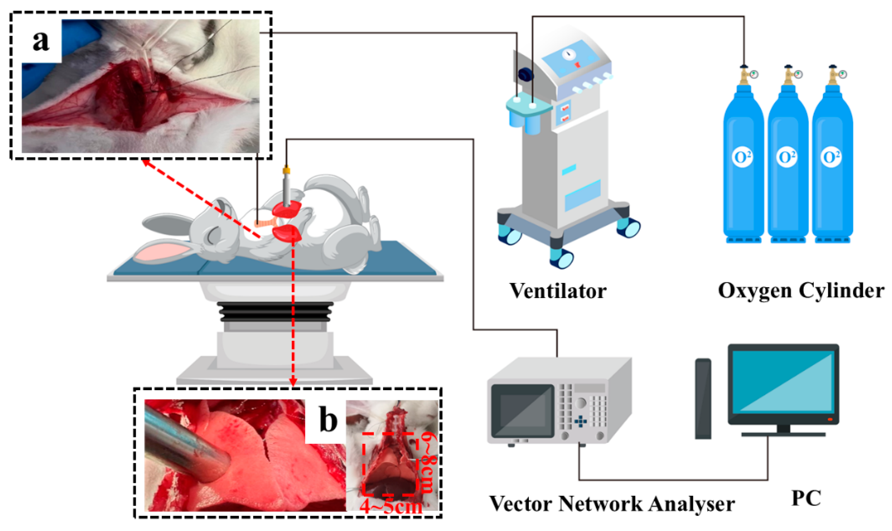 Preprints 147678 g002