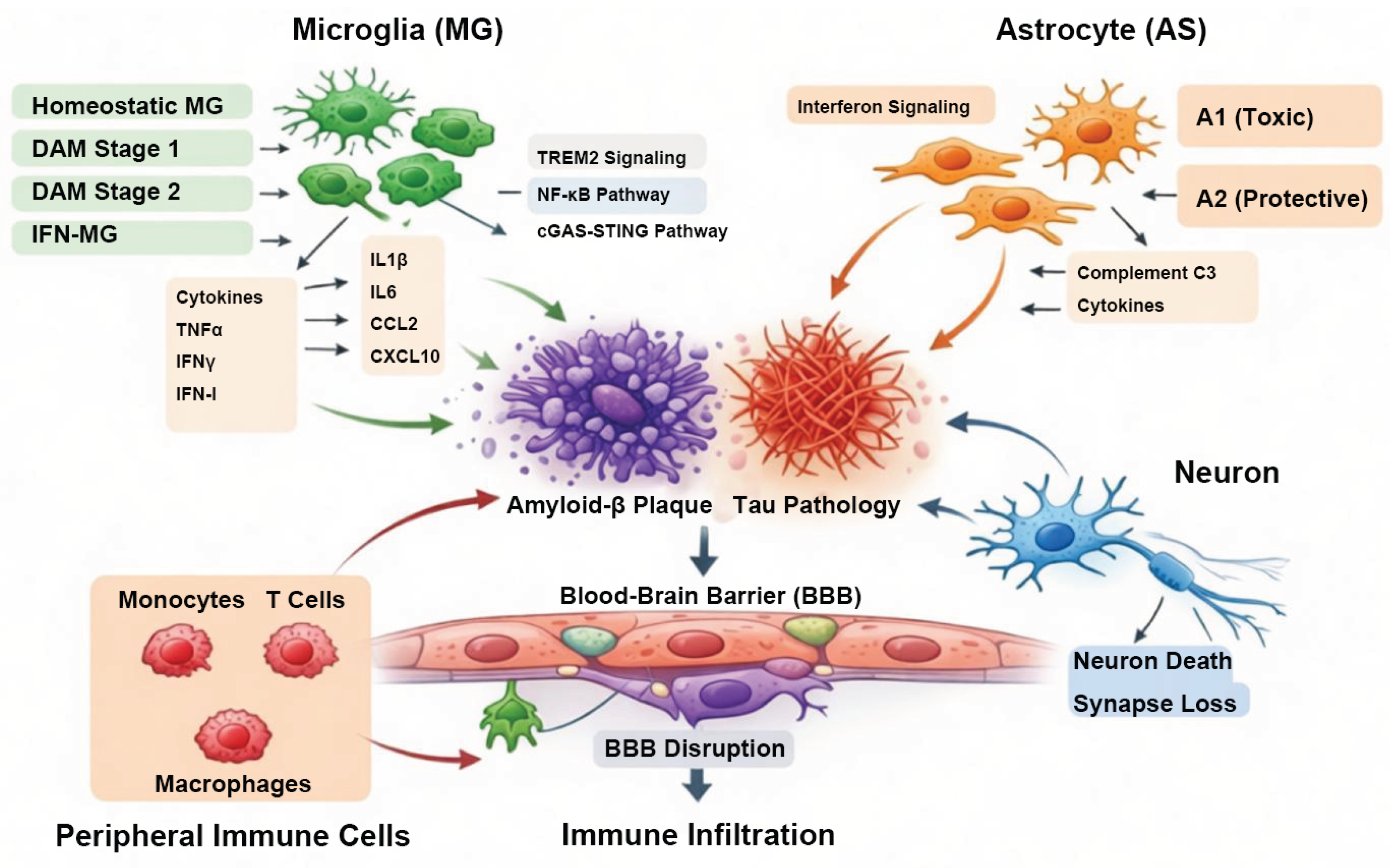 Preprints 209438 g001