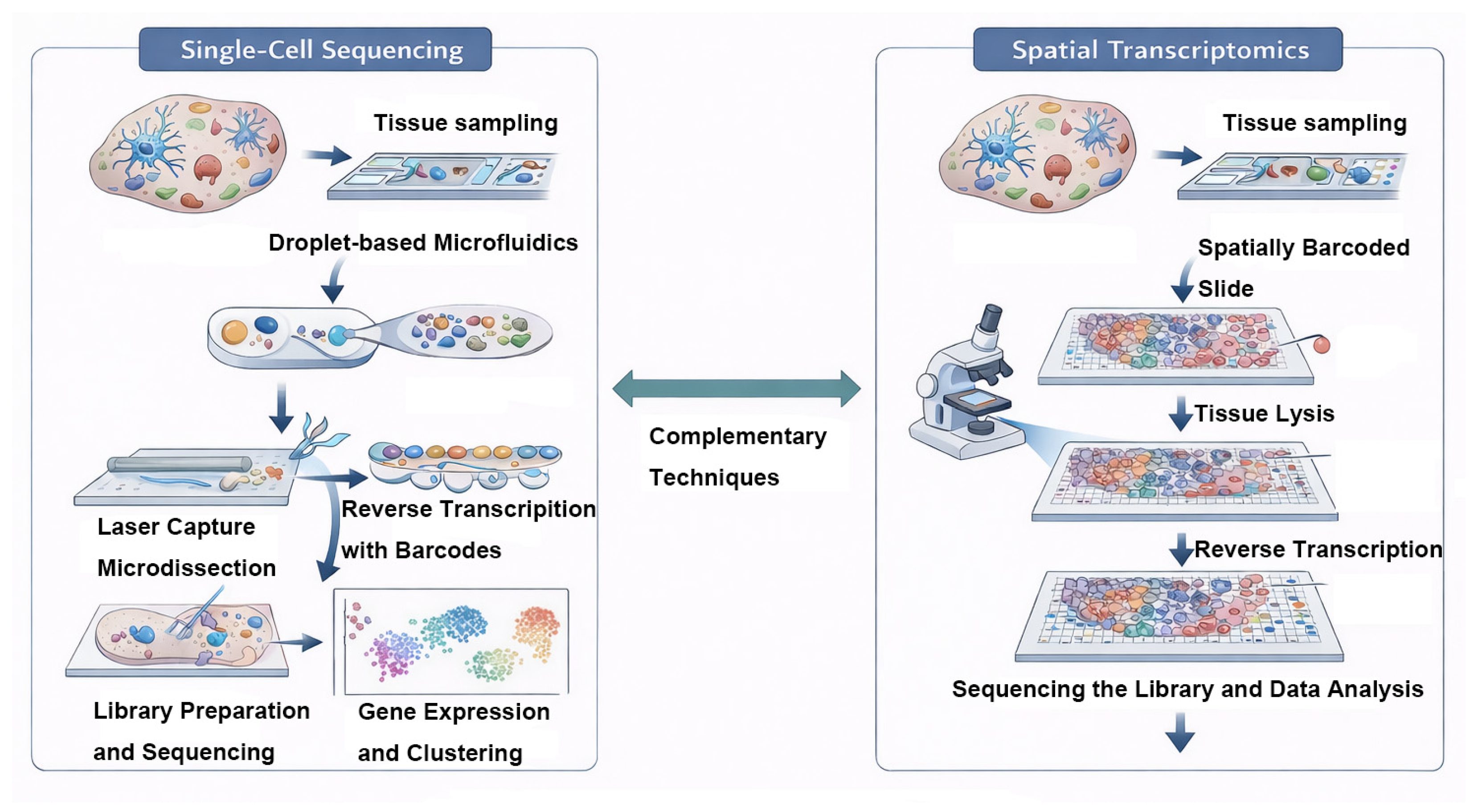 Preprints 209438 g002