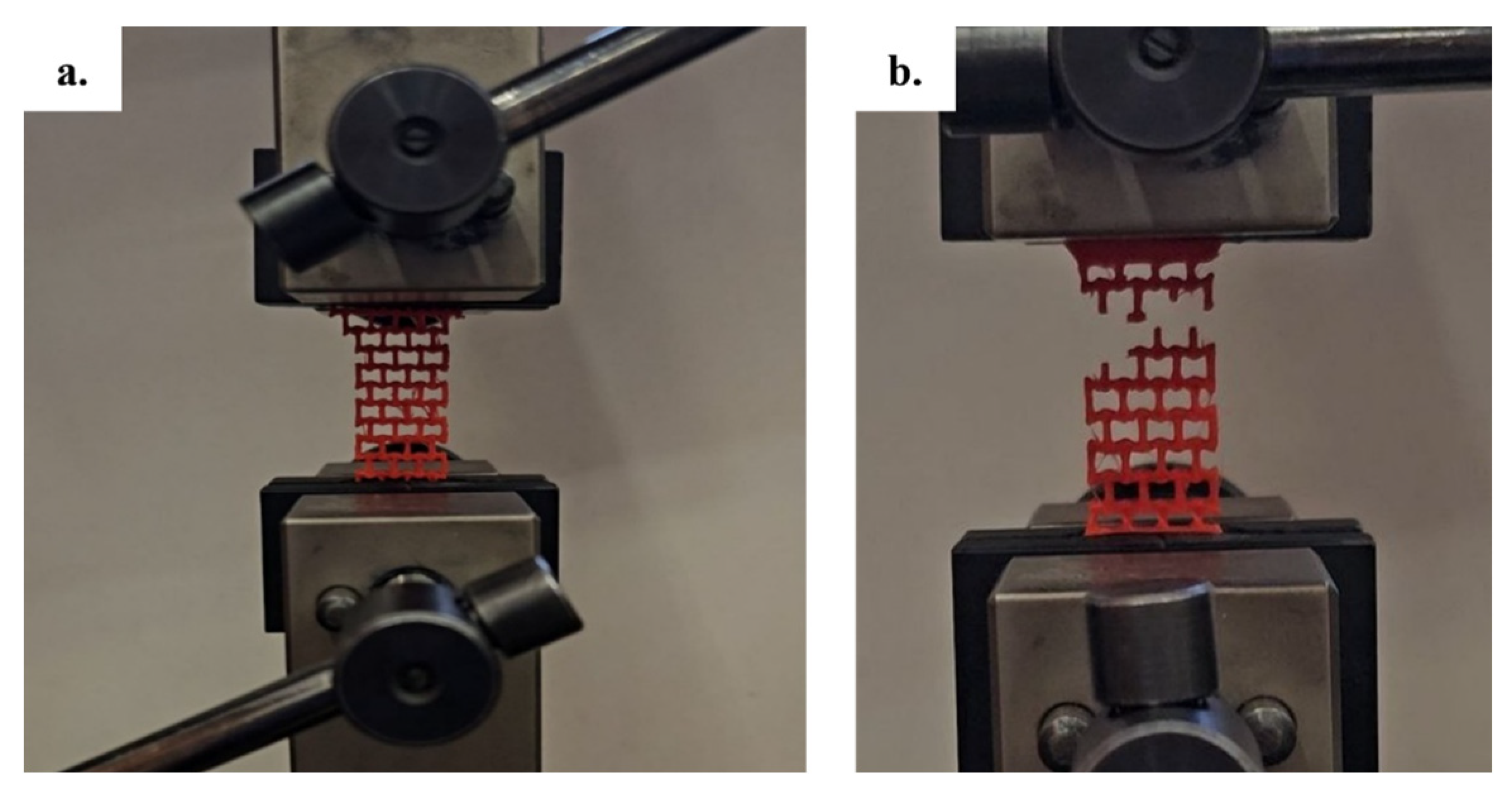 Preprints 143120 g010