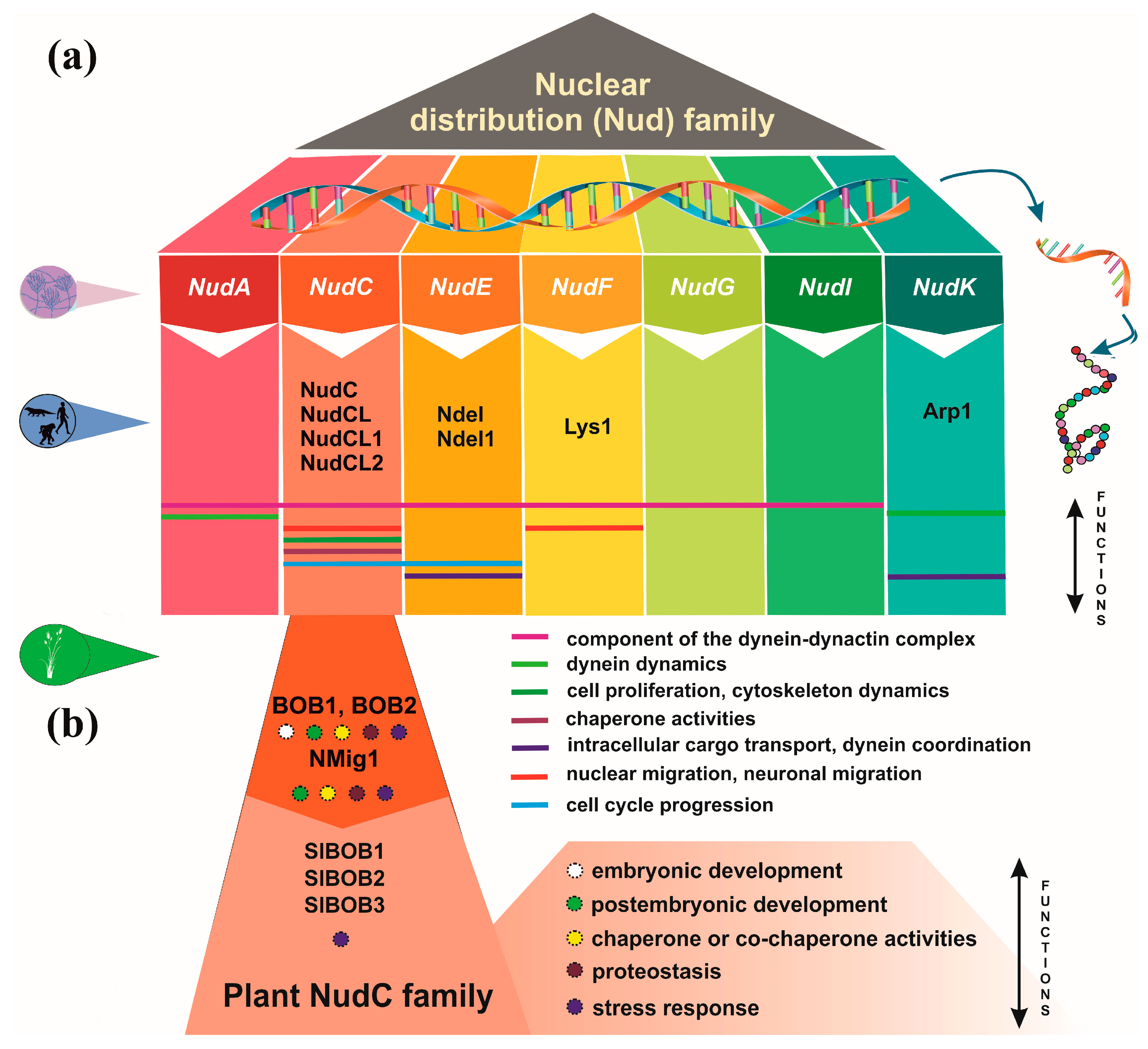 Preprints 90529 g001