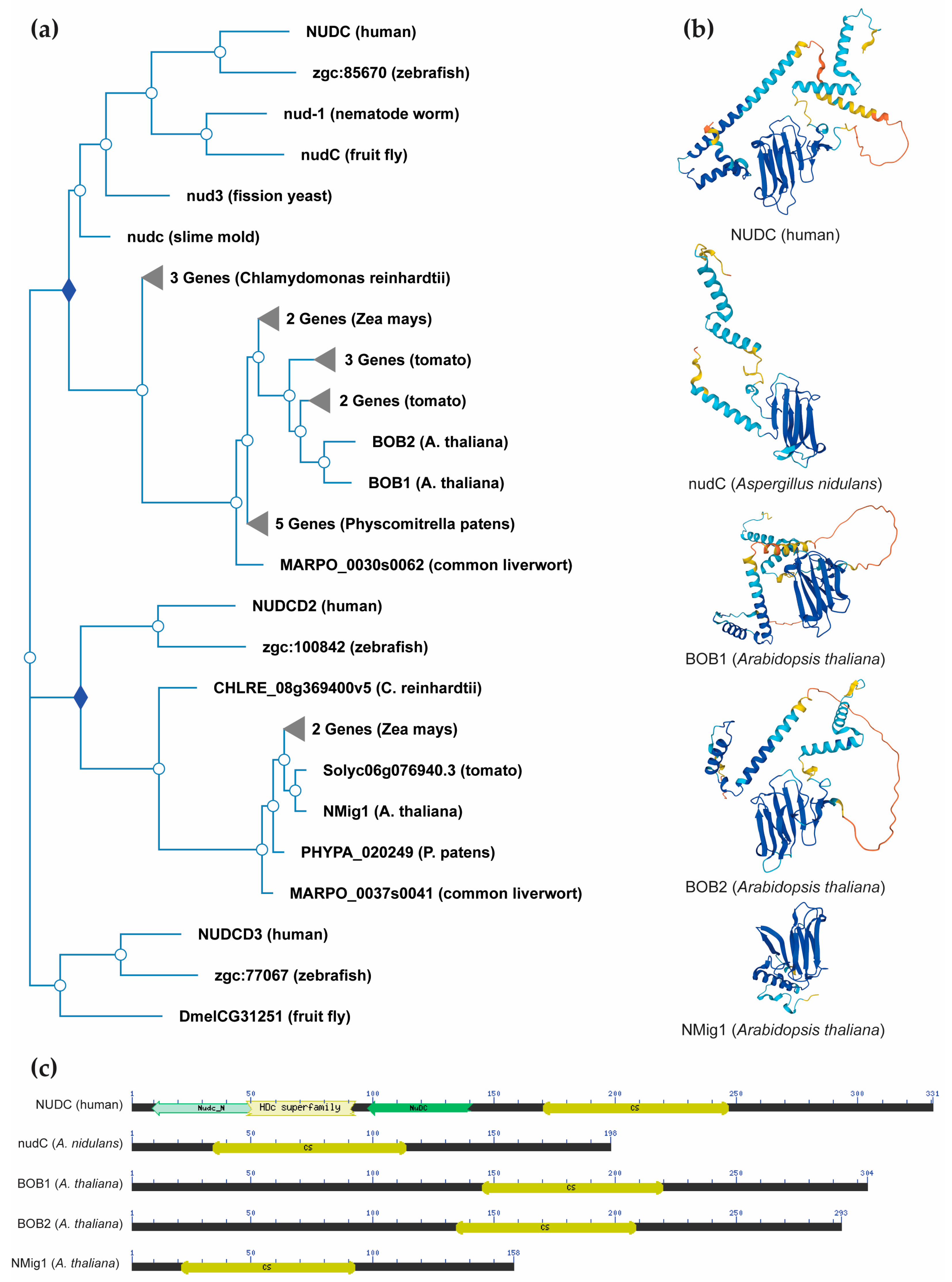 Preprints 90529 g002