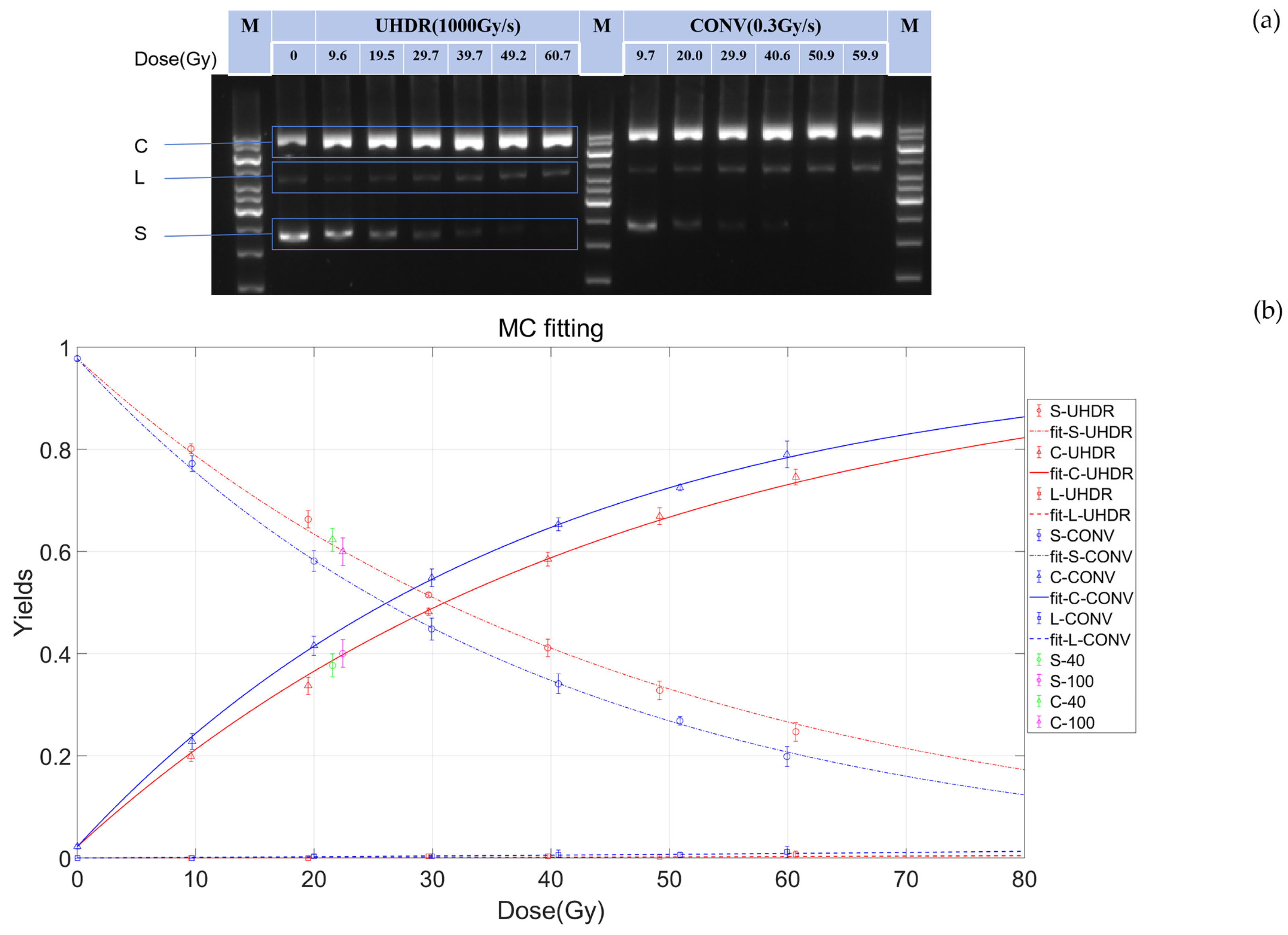 Preprints 147464 g001