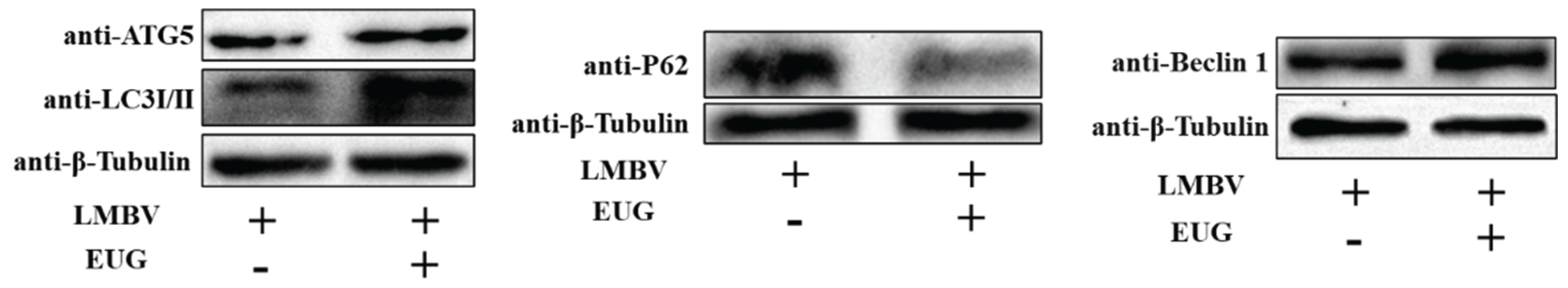 Preprints 172306 g004