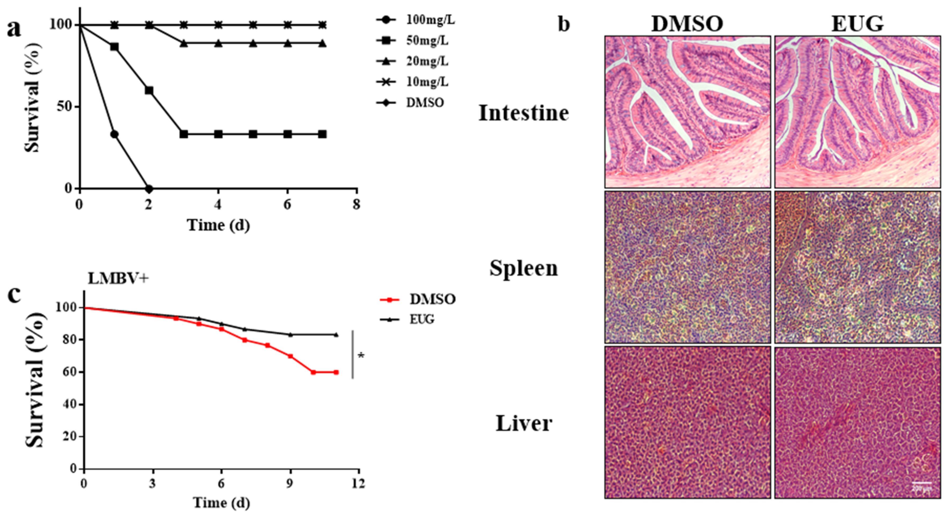 Preprints 172306 g006