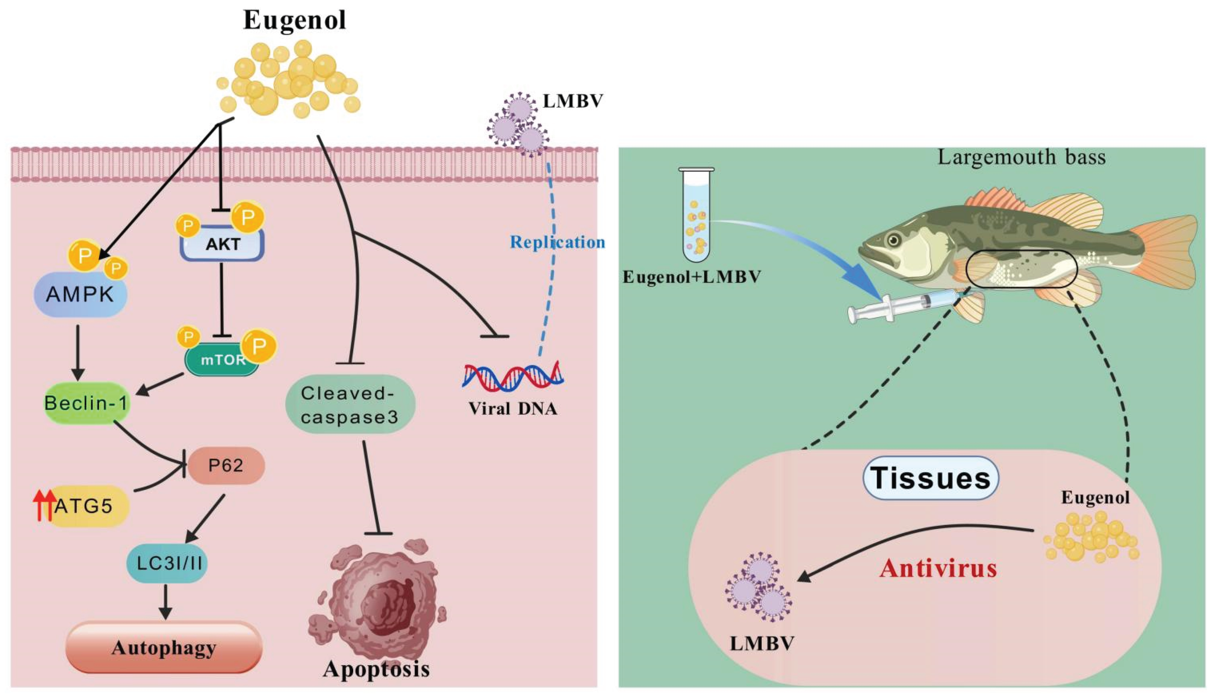 Preprints 172306 g008