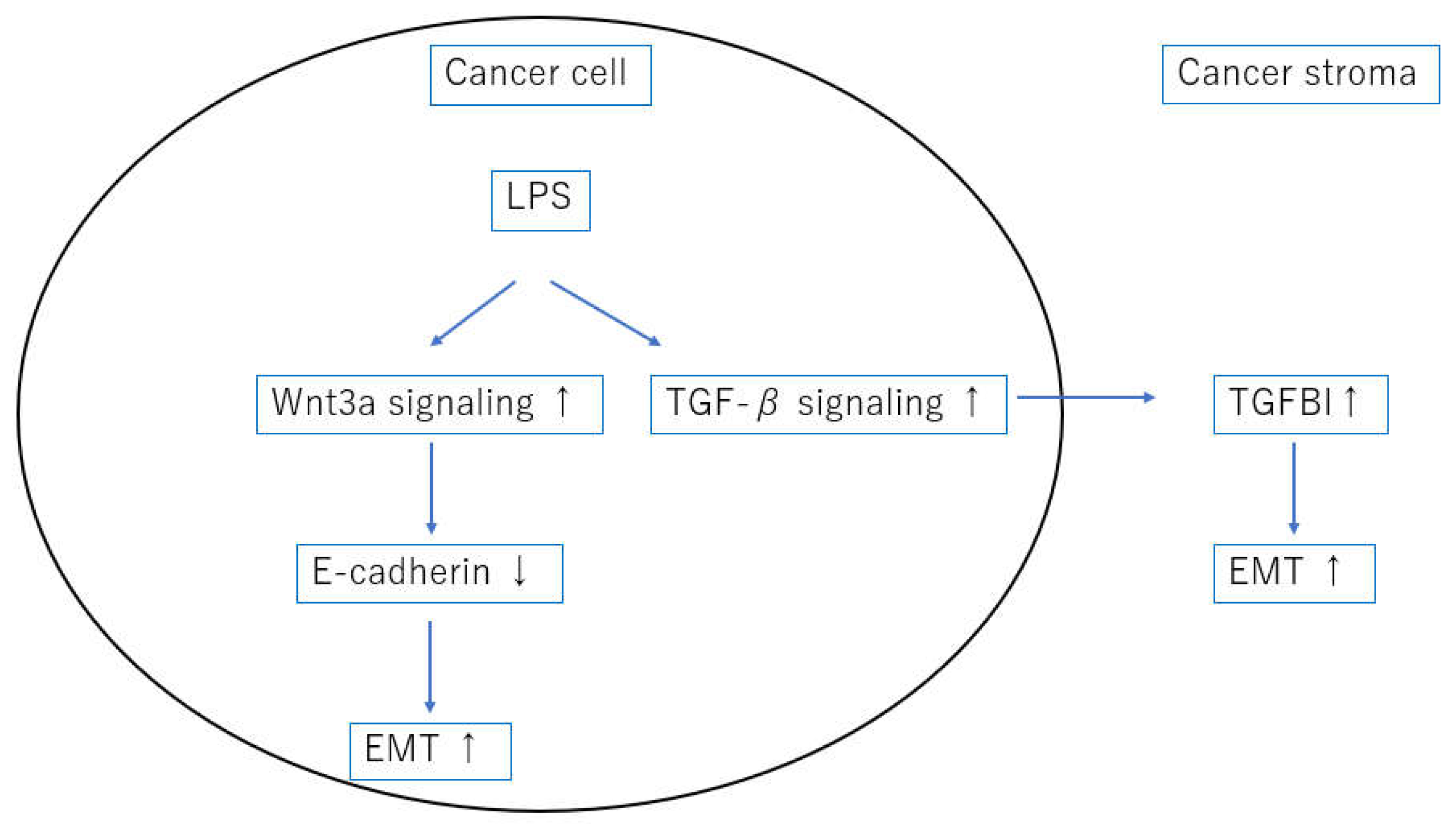 Preprints 77098 g004