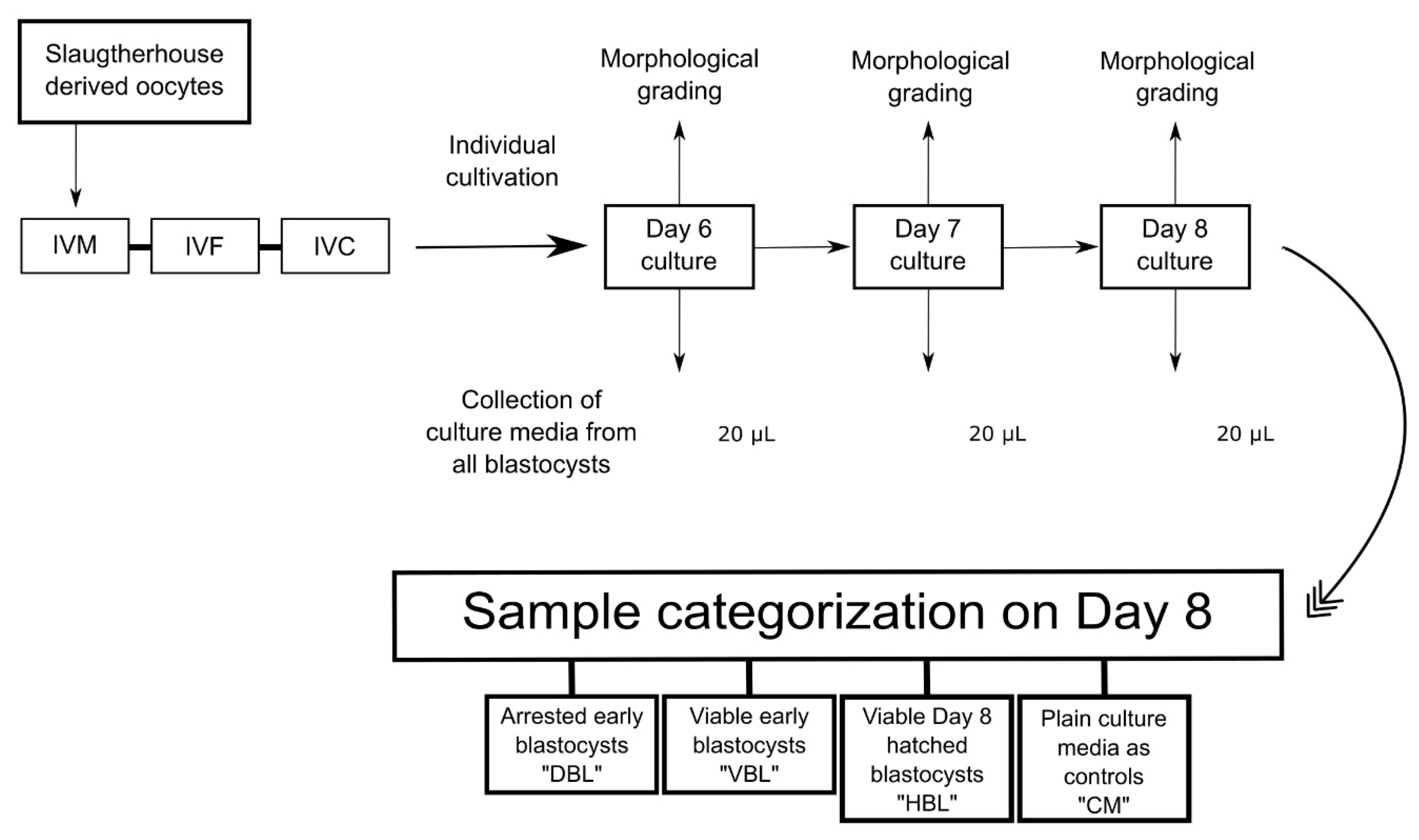 Preprints 143069 g001