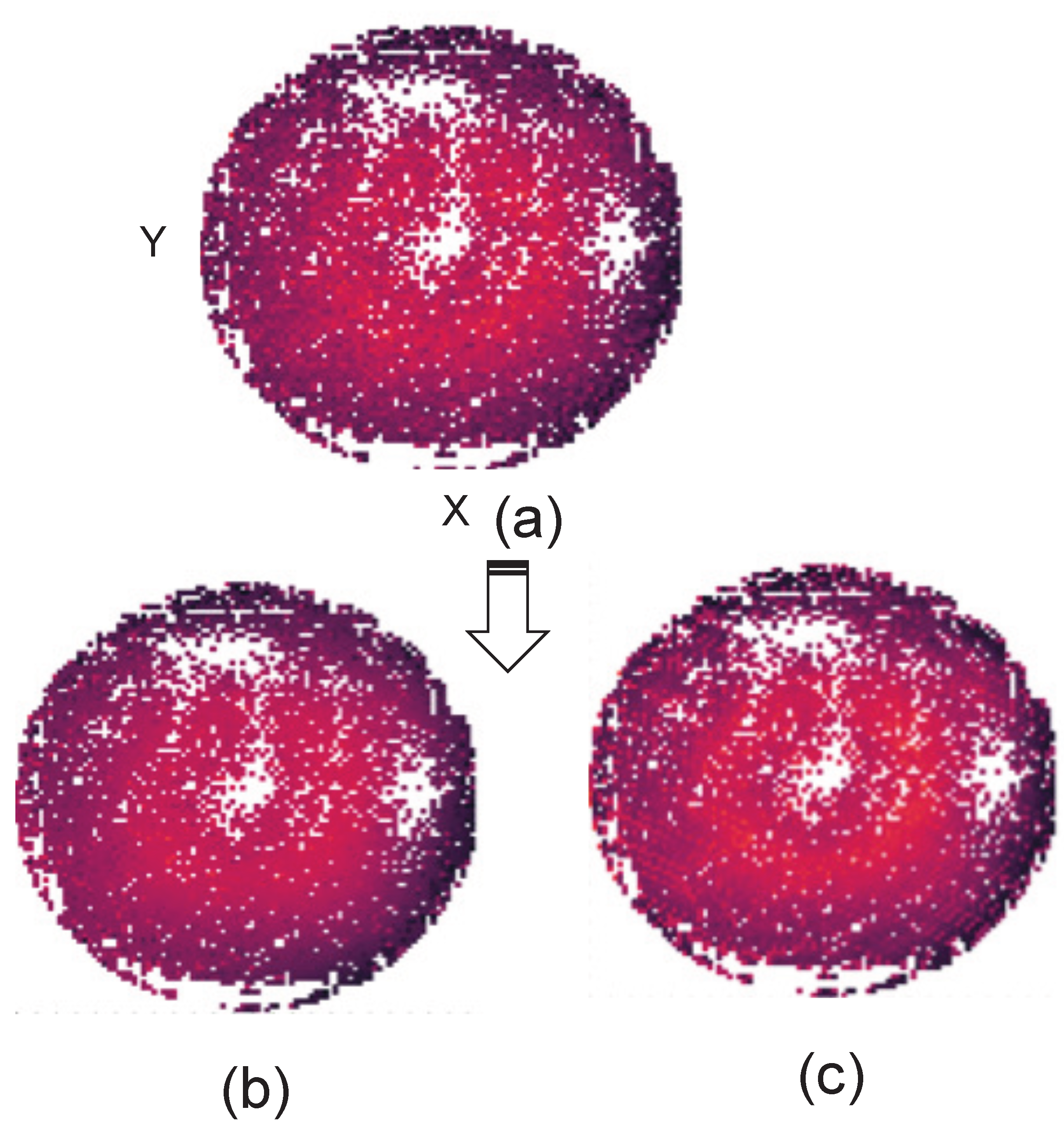 Preprints 161464 g001