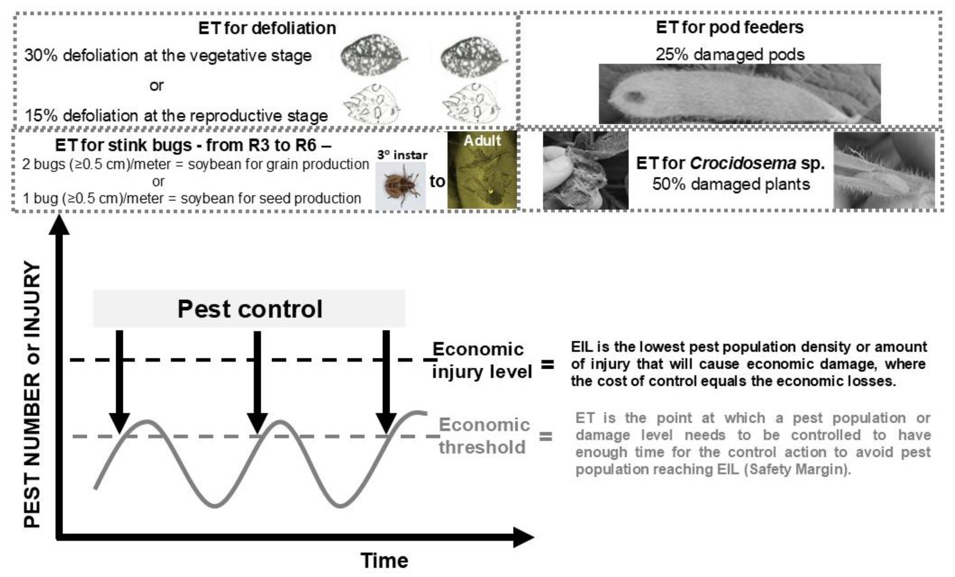 Preprints 190302 g003