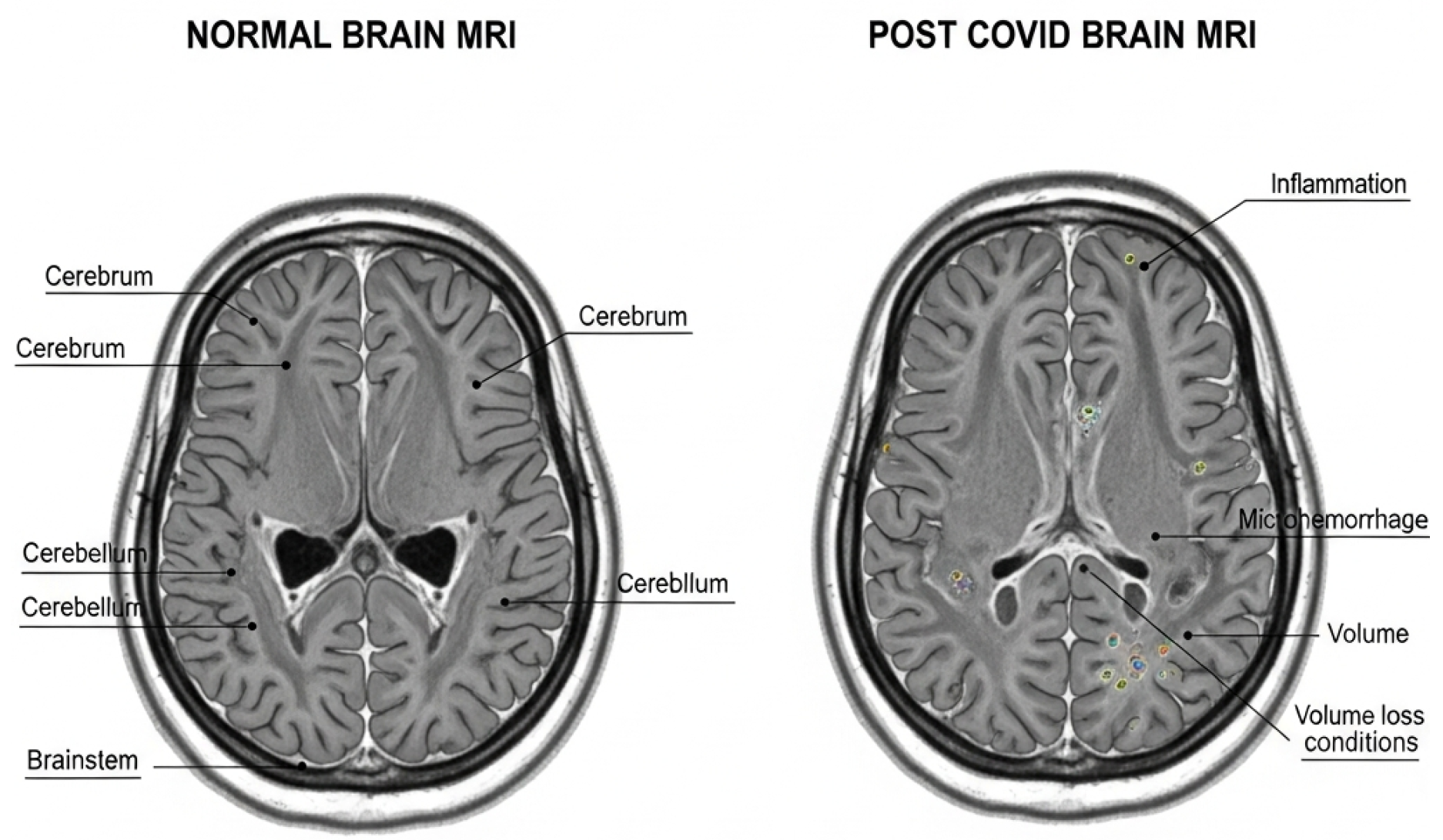 Preprints 194637 g001