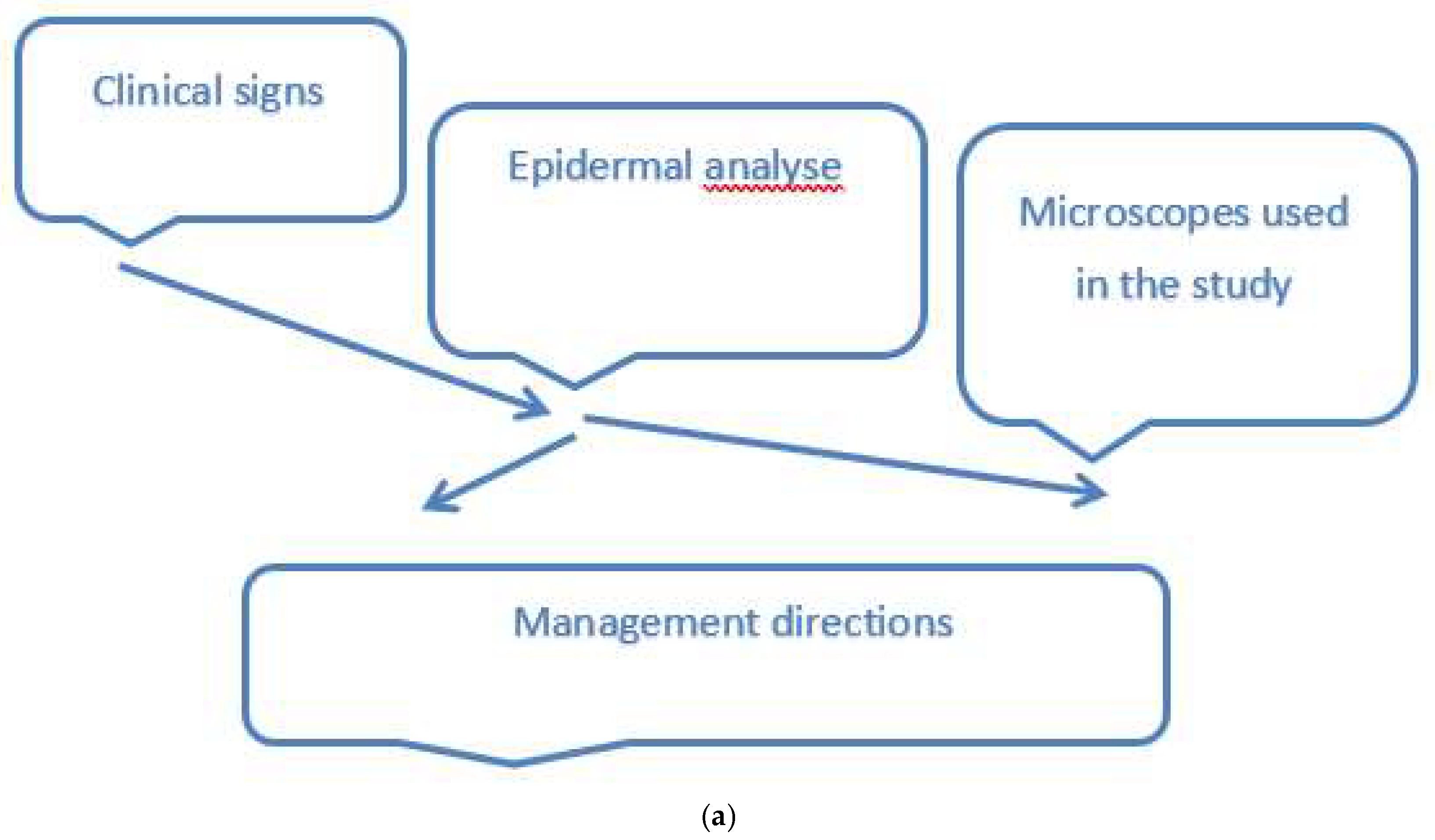 Preprints 147125 g001a