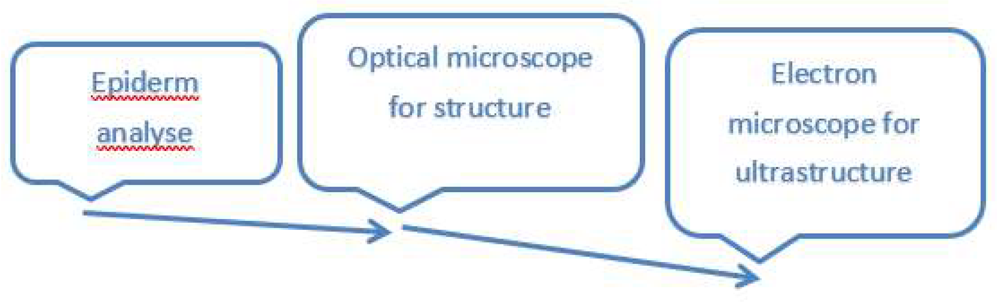 Preprints 147125 g002