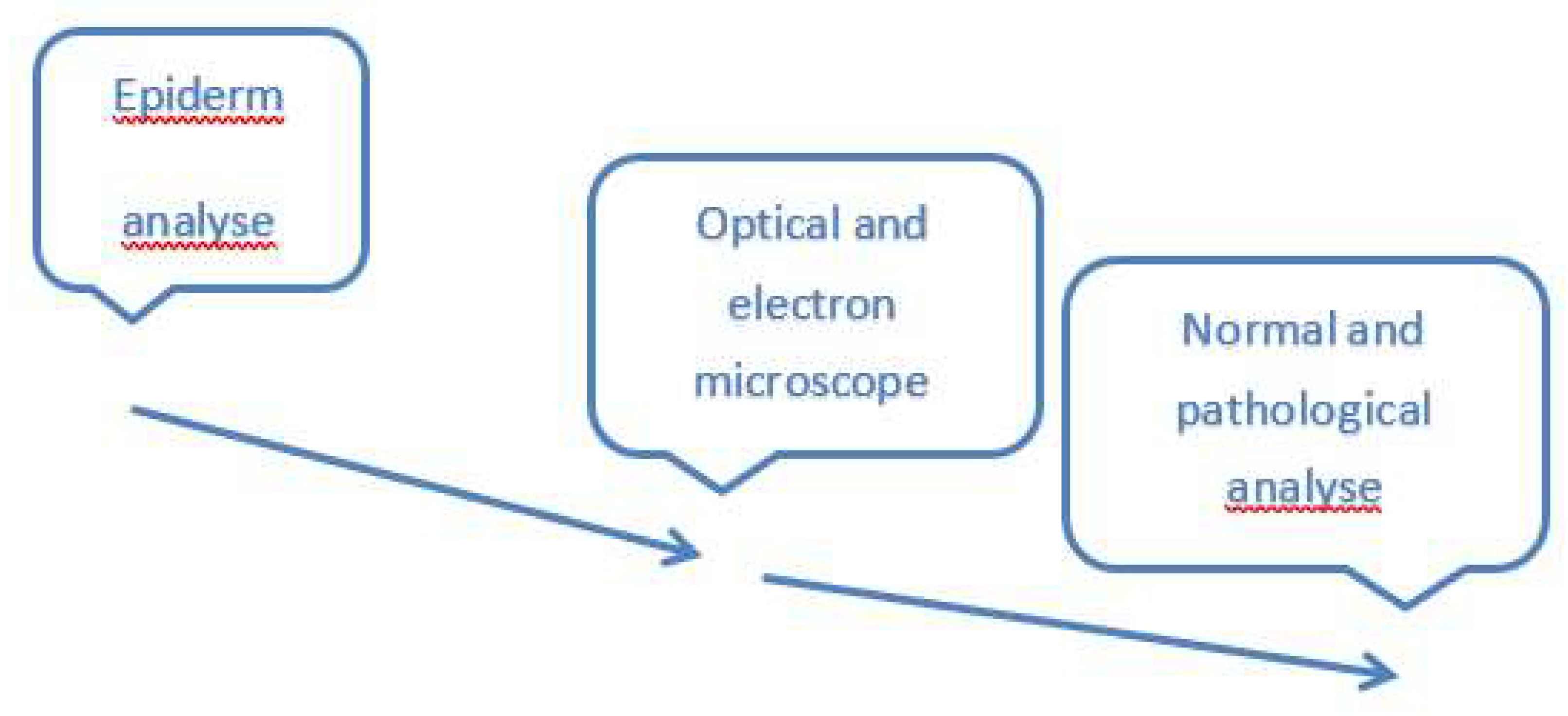 Preprints 147125 g003