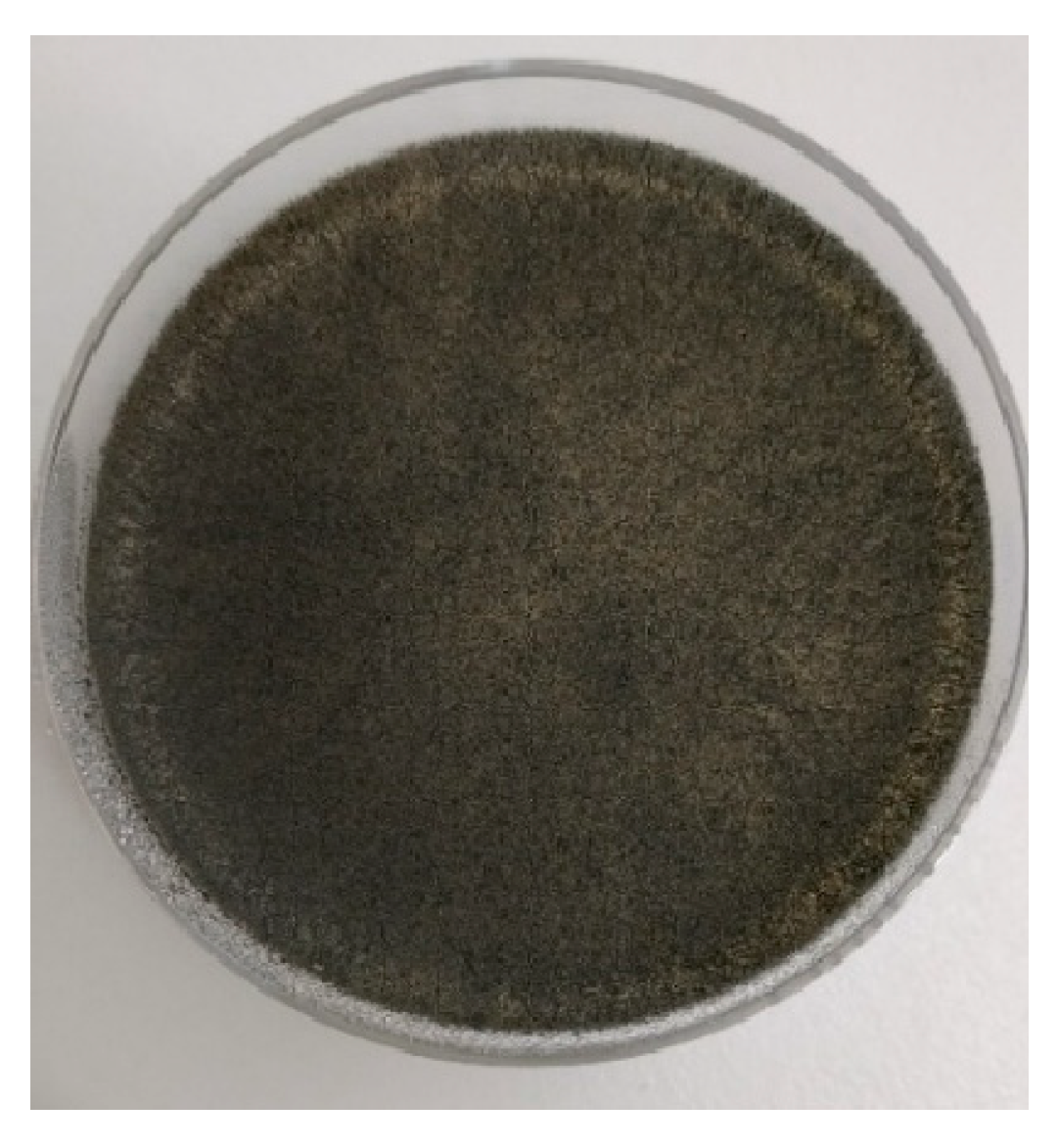 Preprints 187980 g006