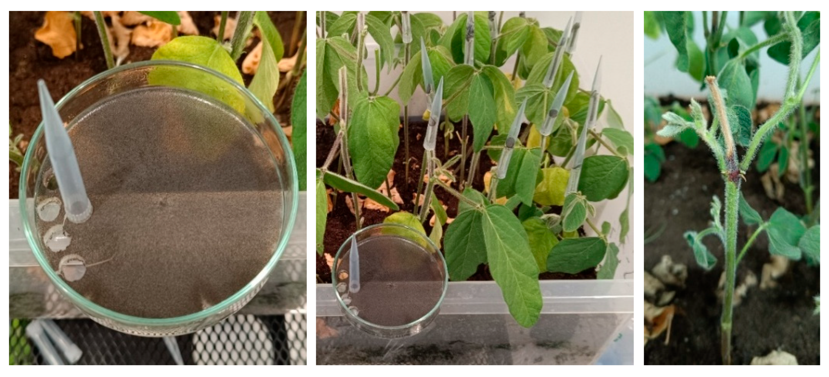 Preprints 187980 g007