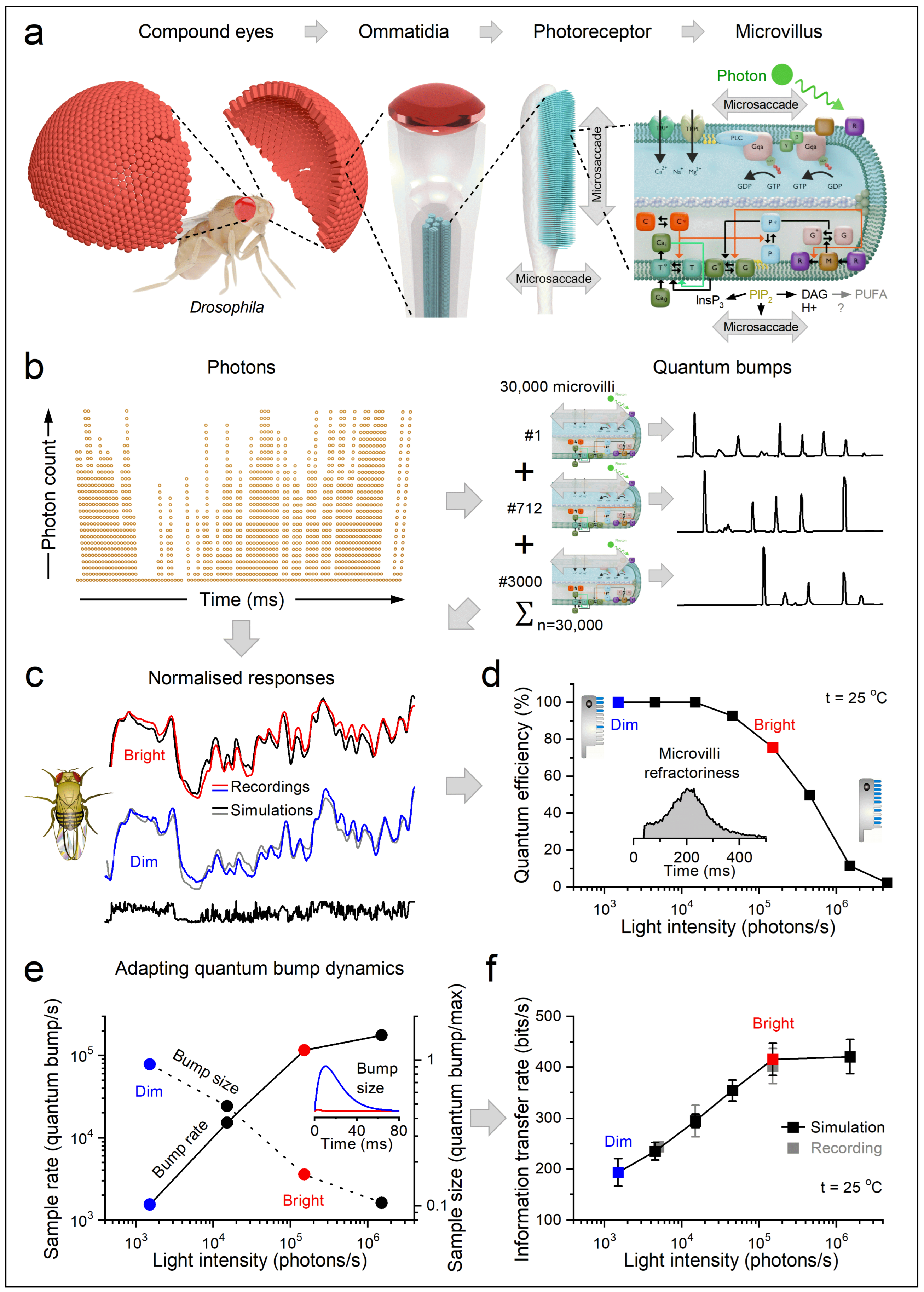 Preprints 202824 g005 Preprints 202824 g005