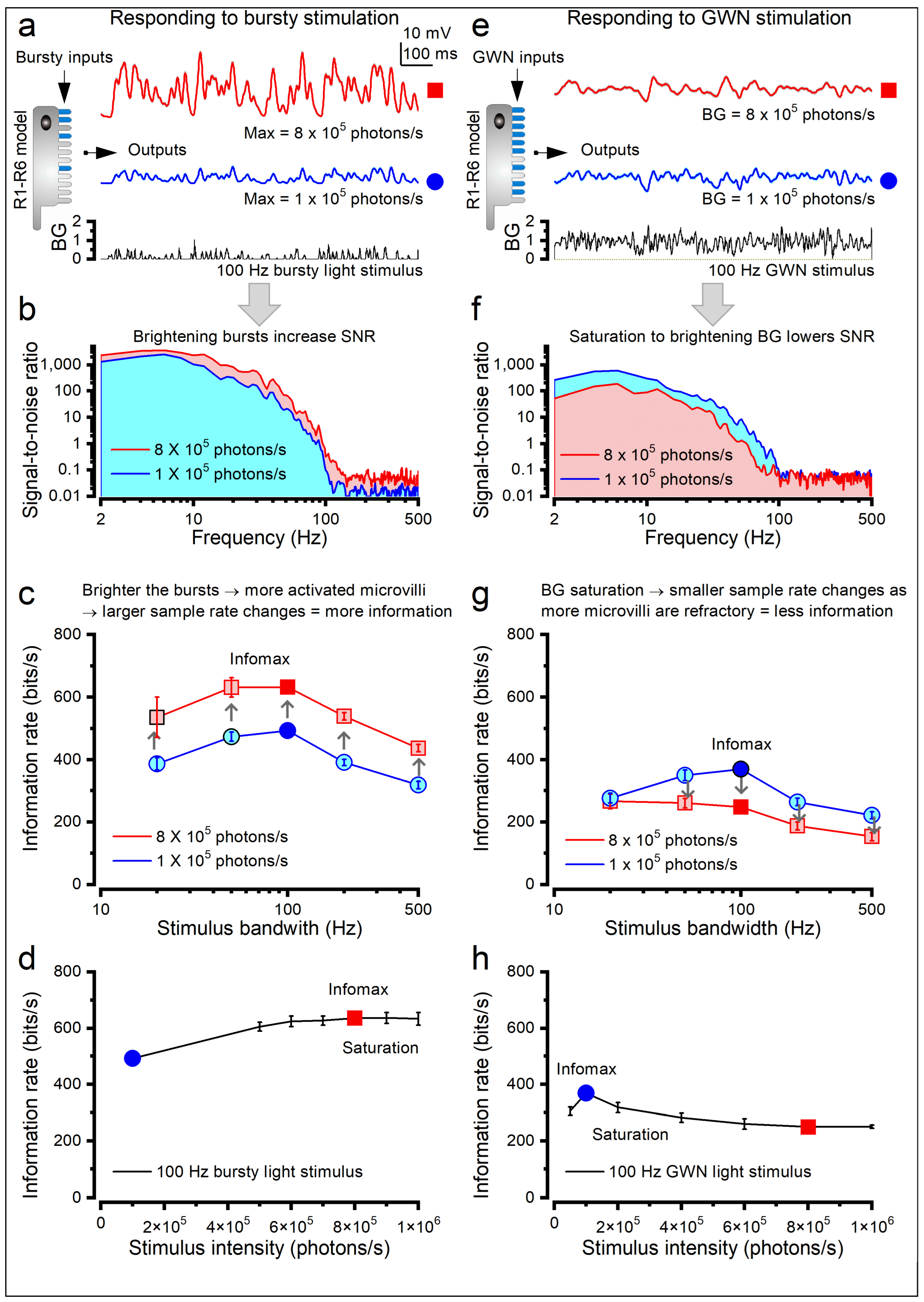 Preprints 202824 g006 Preprints 202824 g006