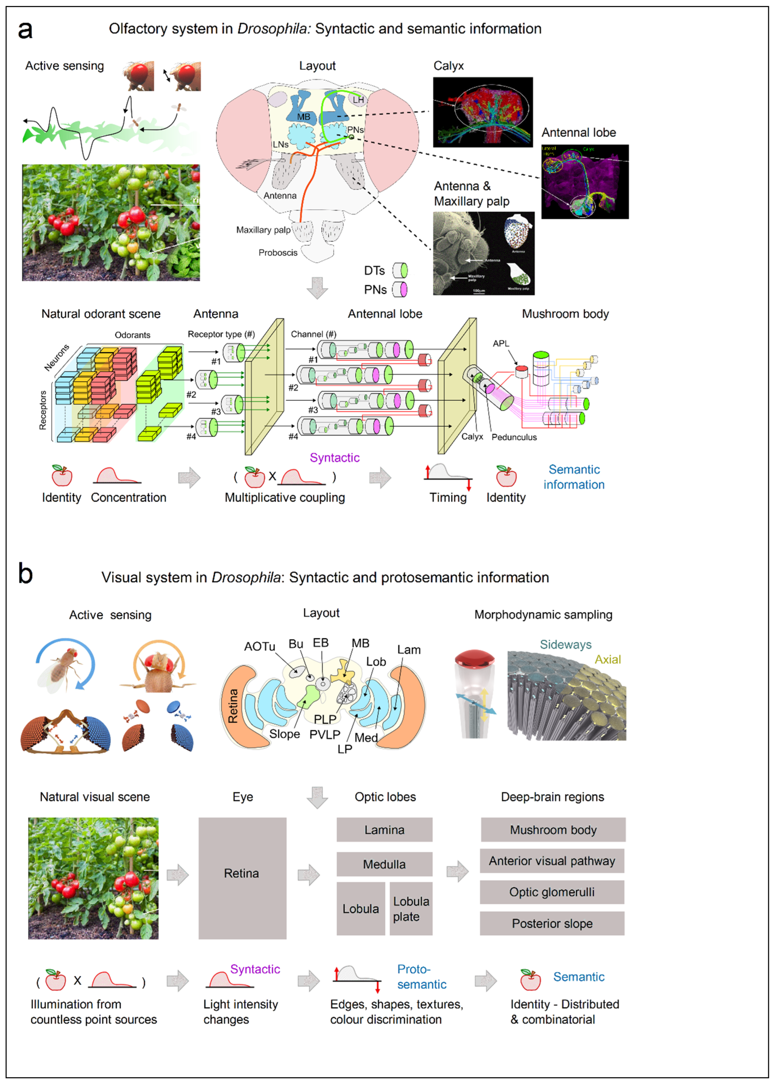 Preprints 202824 g010 Preprints 202824 g010