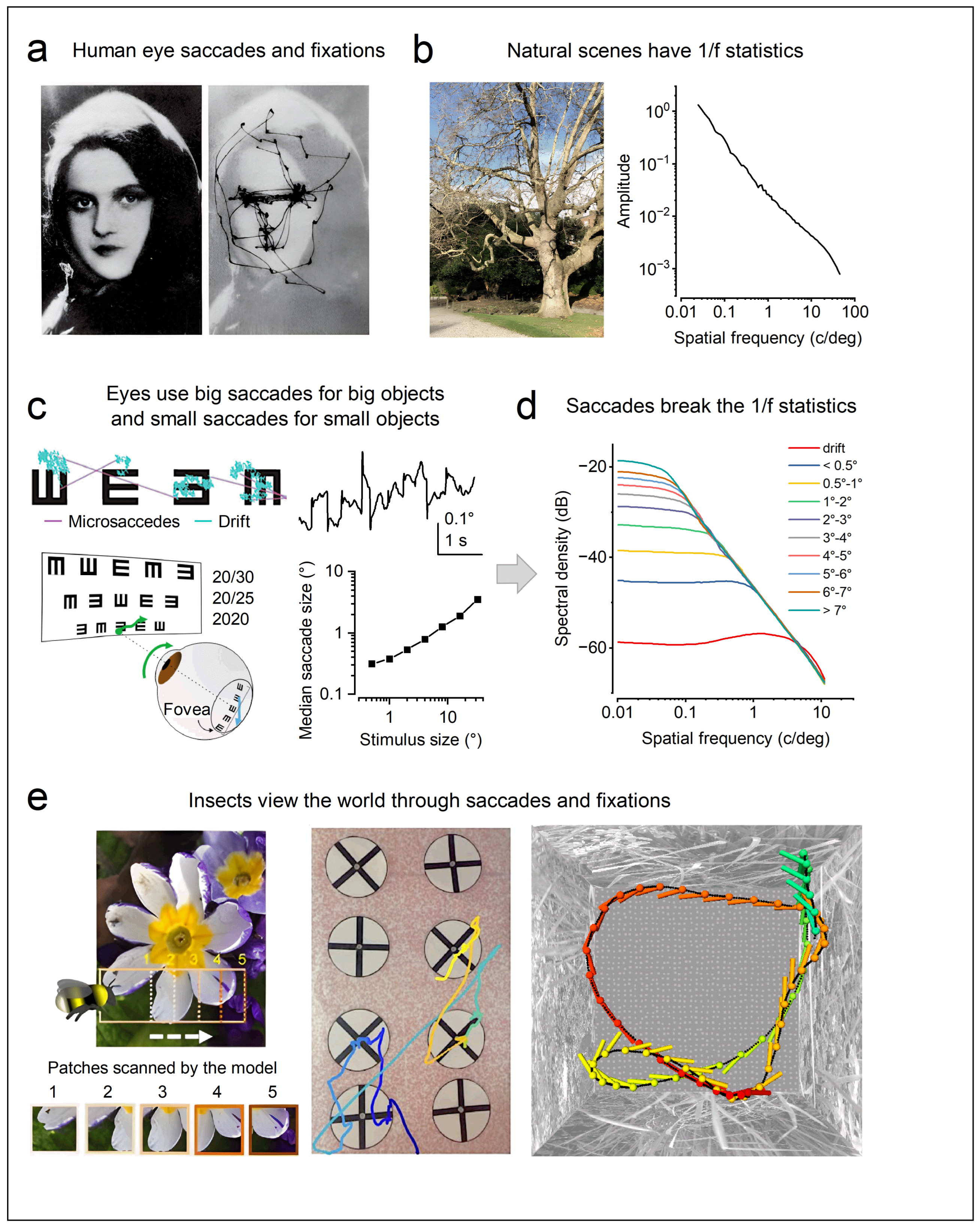 Preprints 202824 g011 Preprints 202824 g011