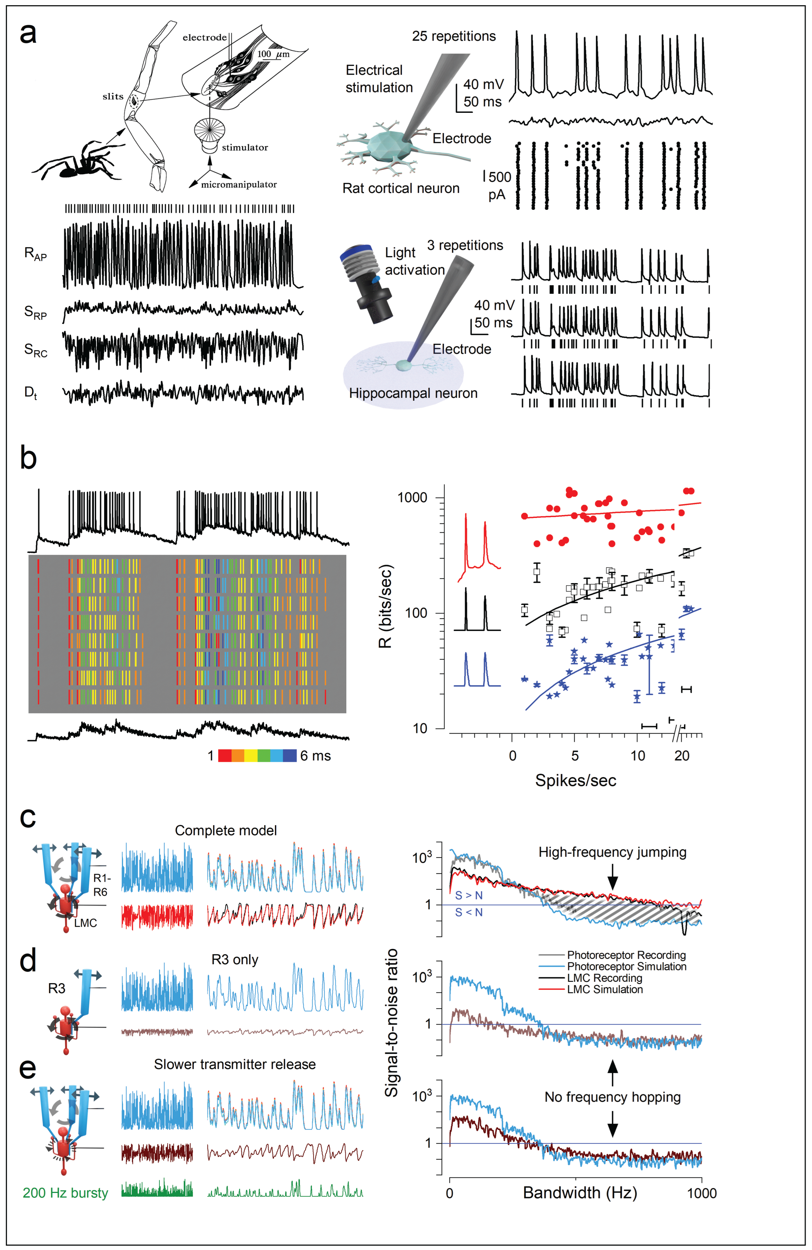 Preprints 202824 g013 Preprints 202824 g013