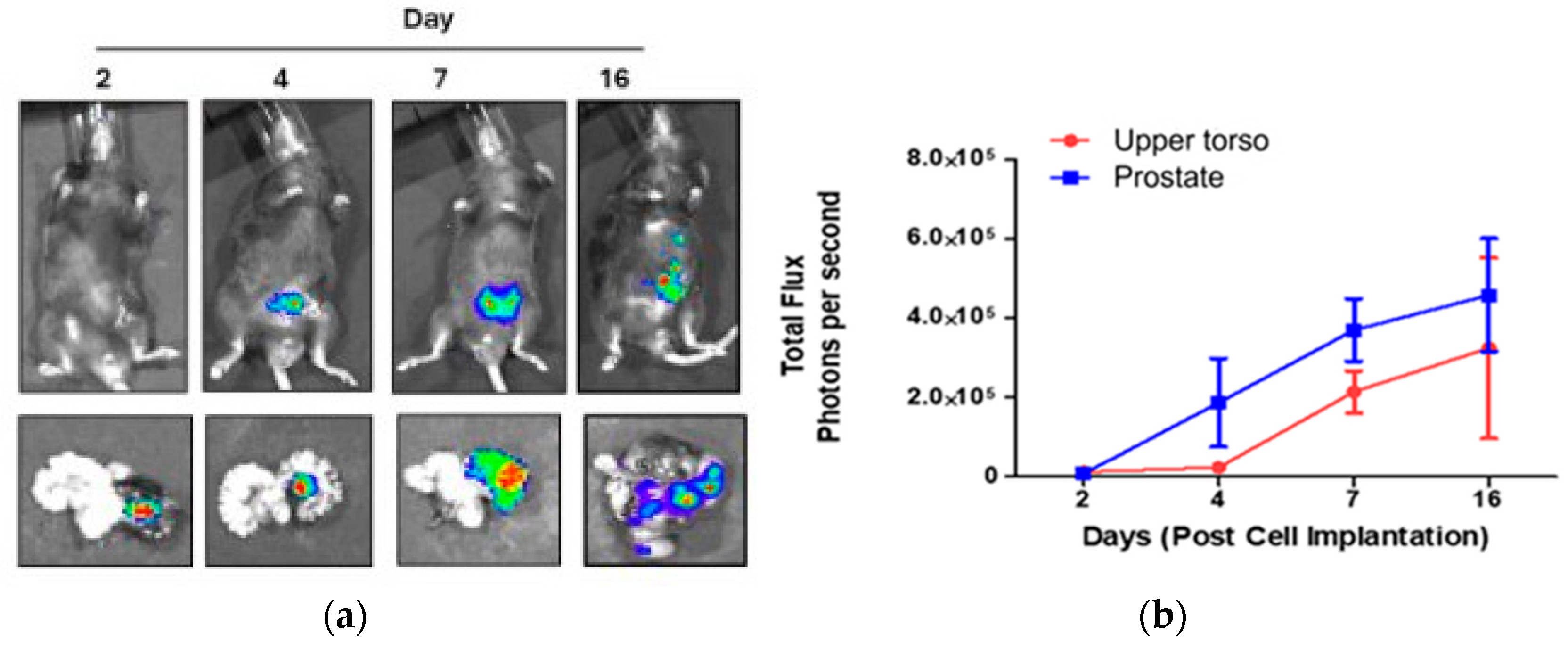 Preprints 148000 g001