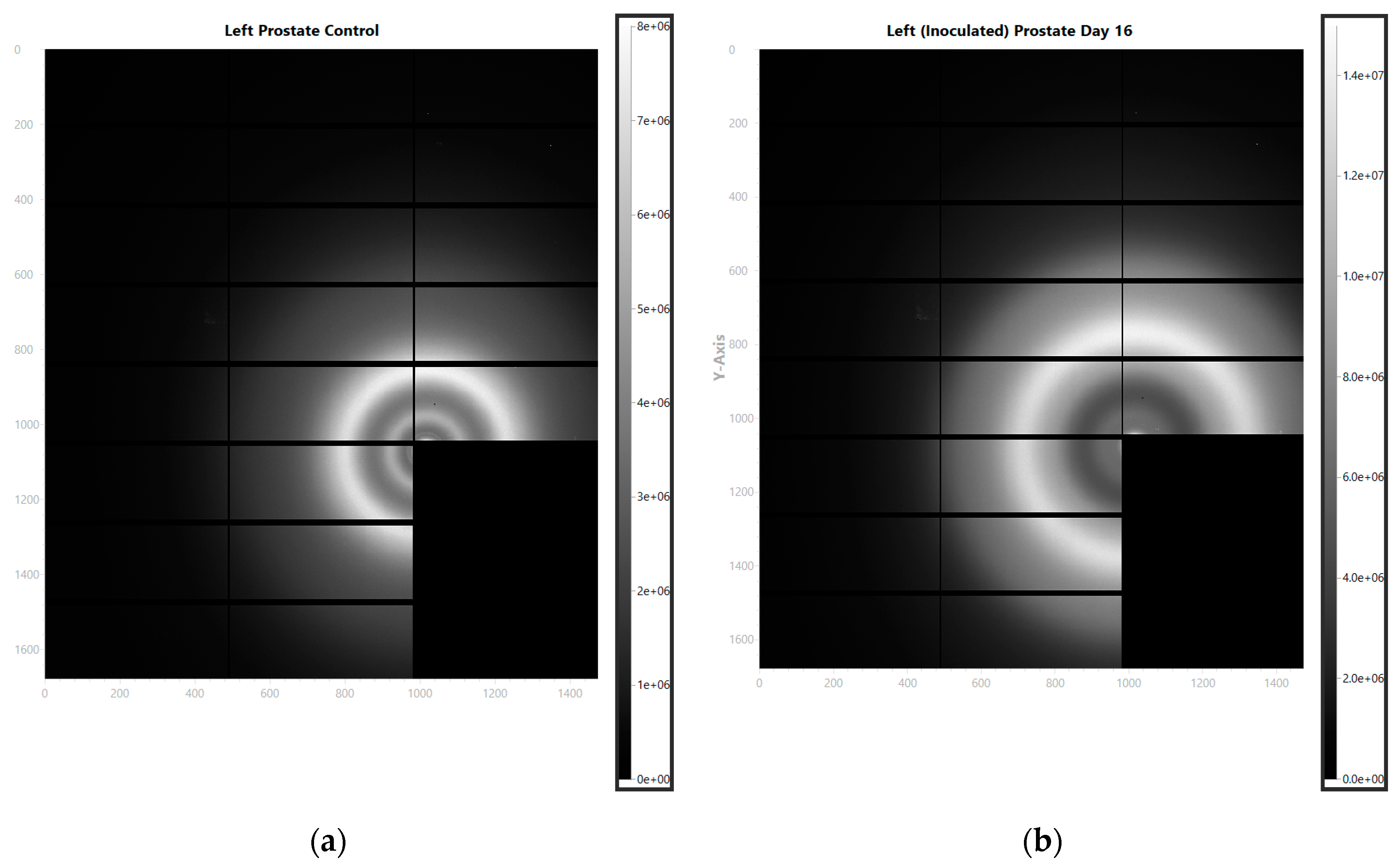 Preprints 148000 g002