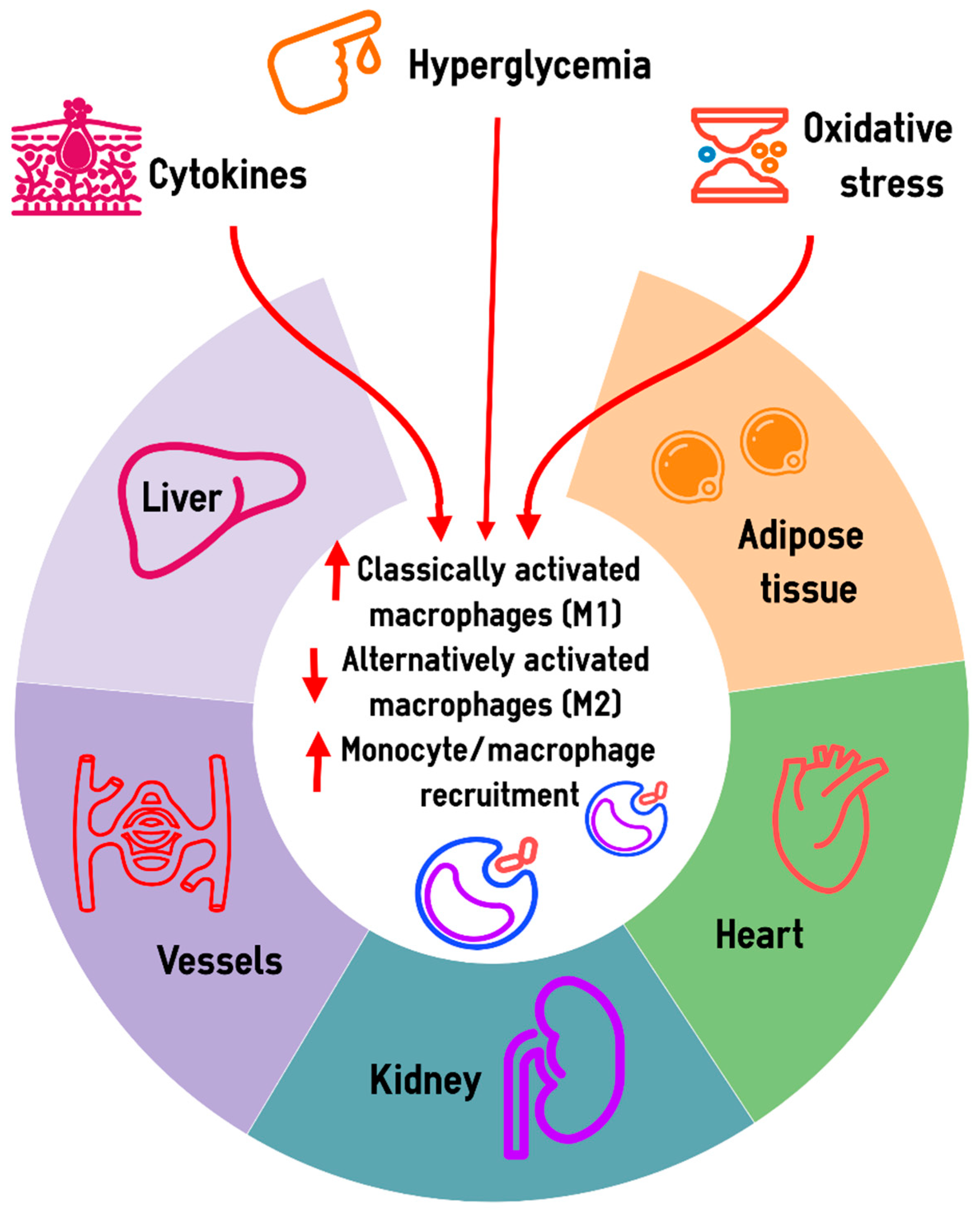 Preprints 138793 g001