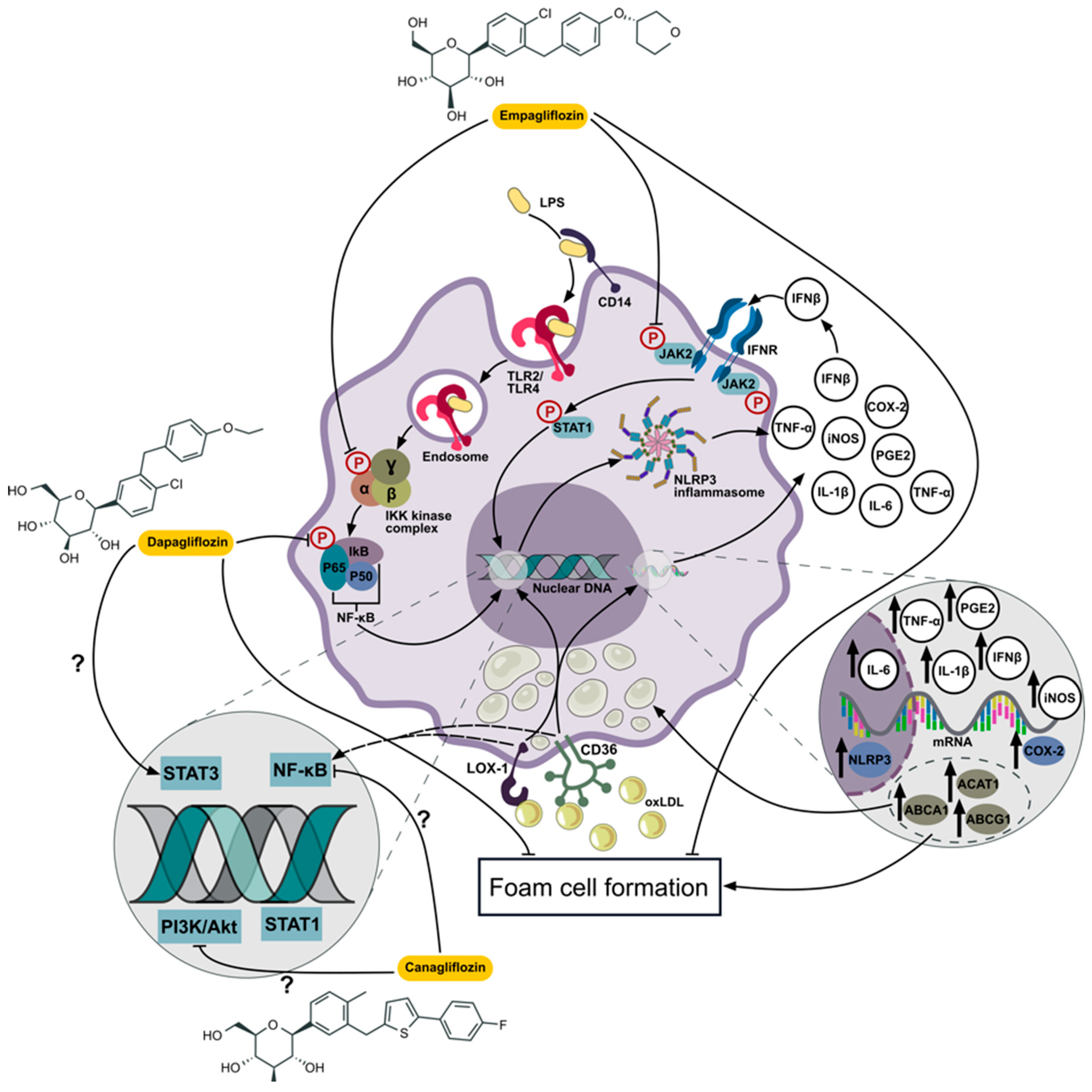 Preprints 138793 g003