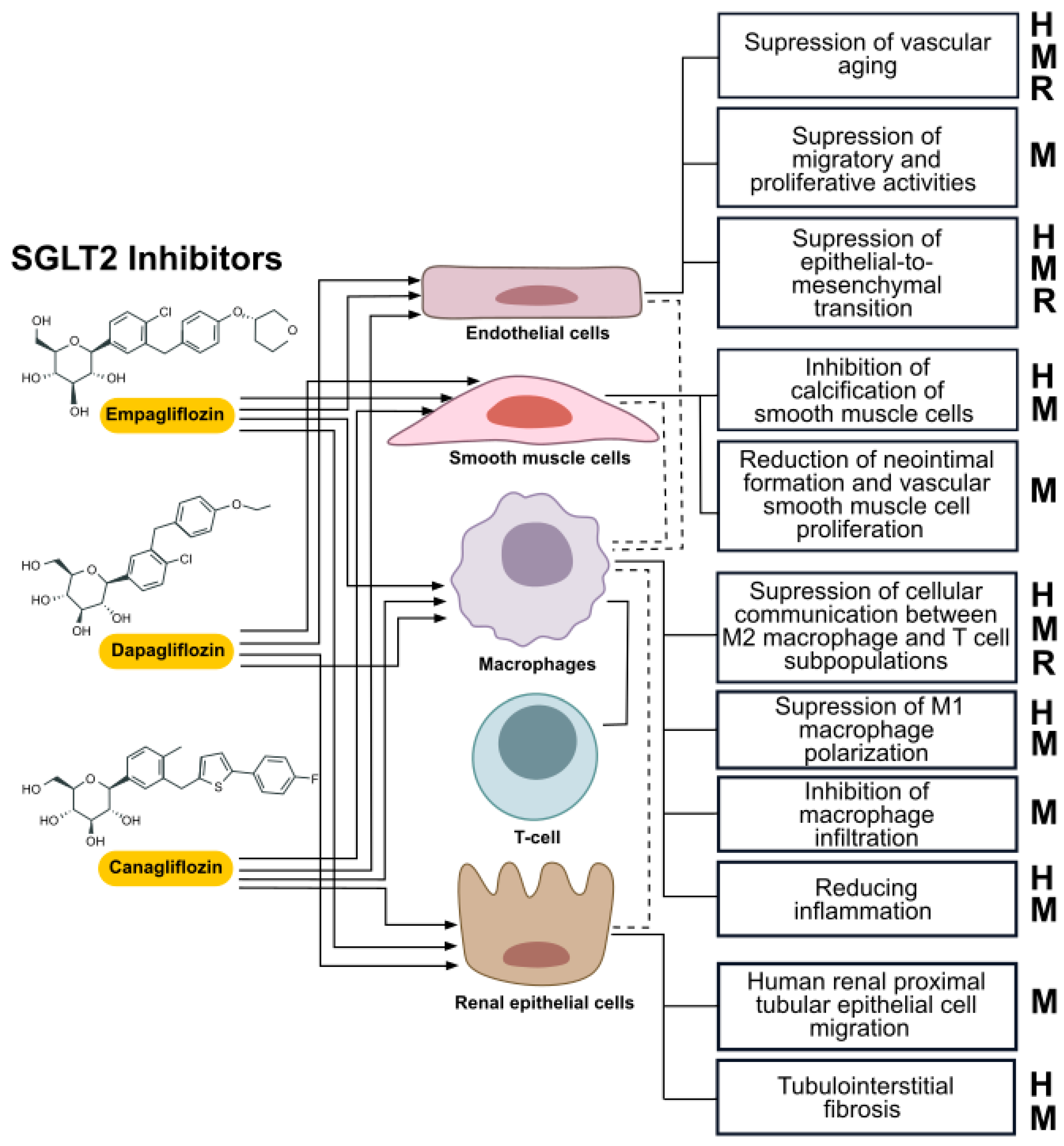 Preprints 138793 g004