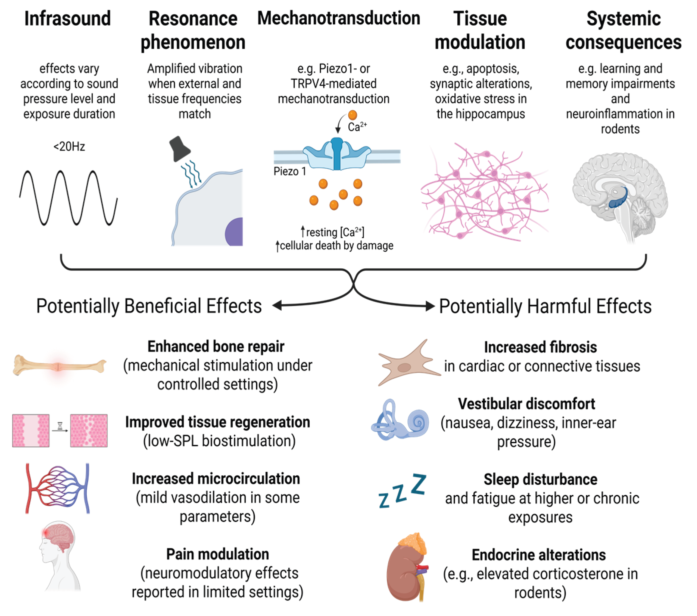 Preprints 194523 g001