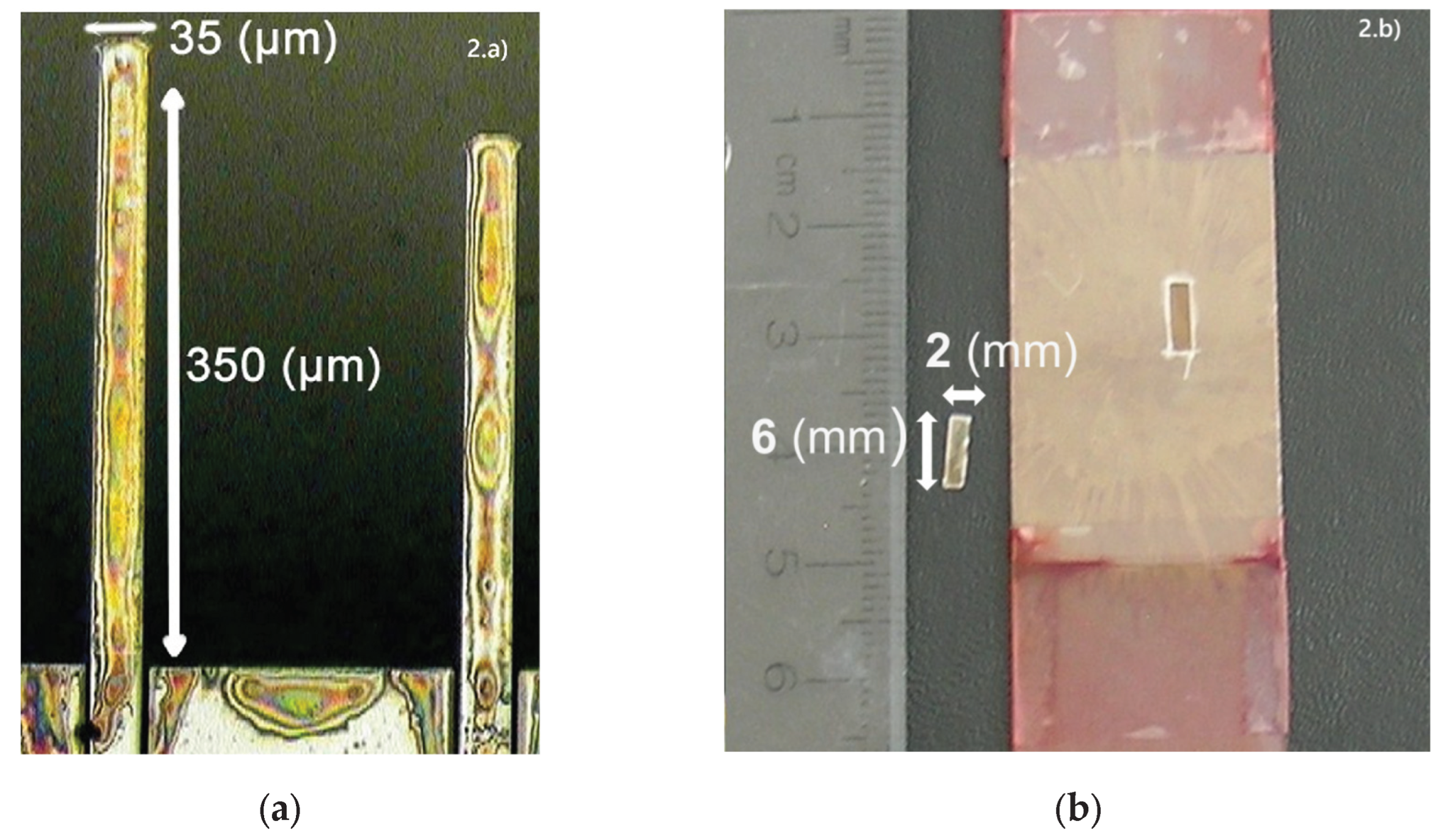 Preprints 195126 g002
