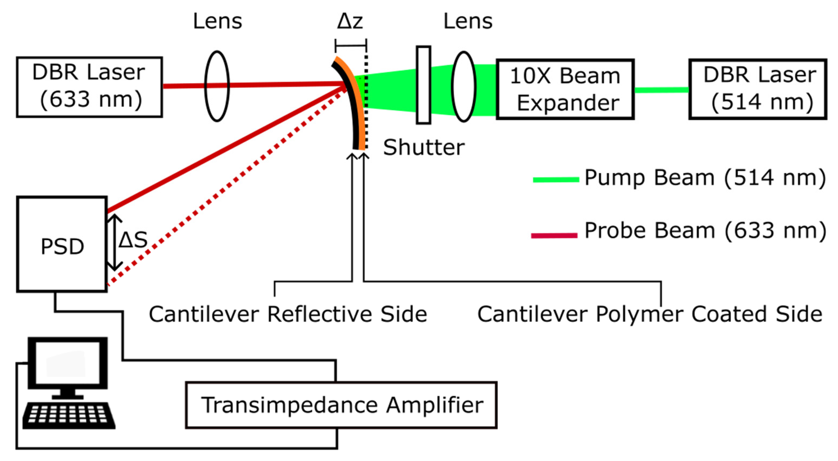 Preprints 195126 g003