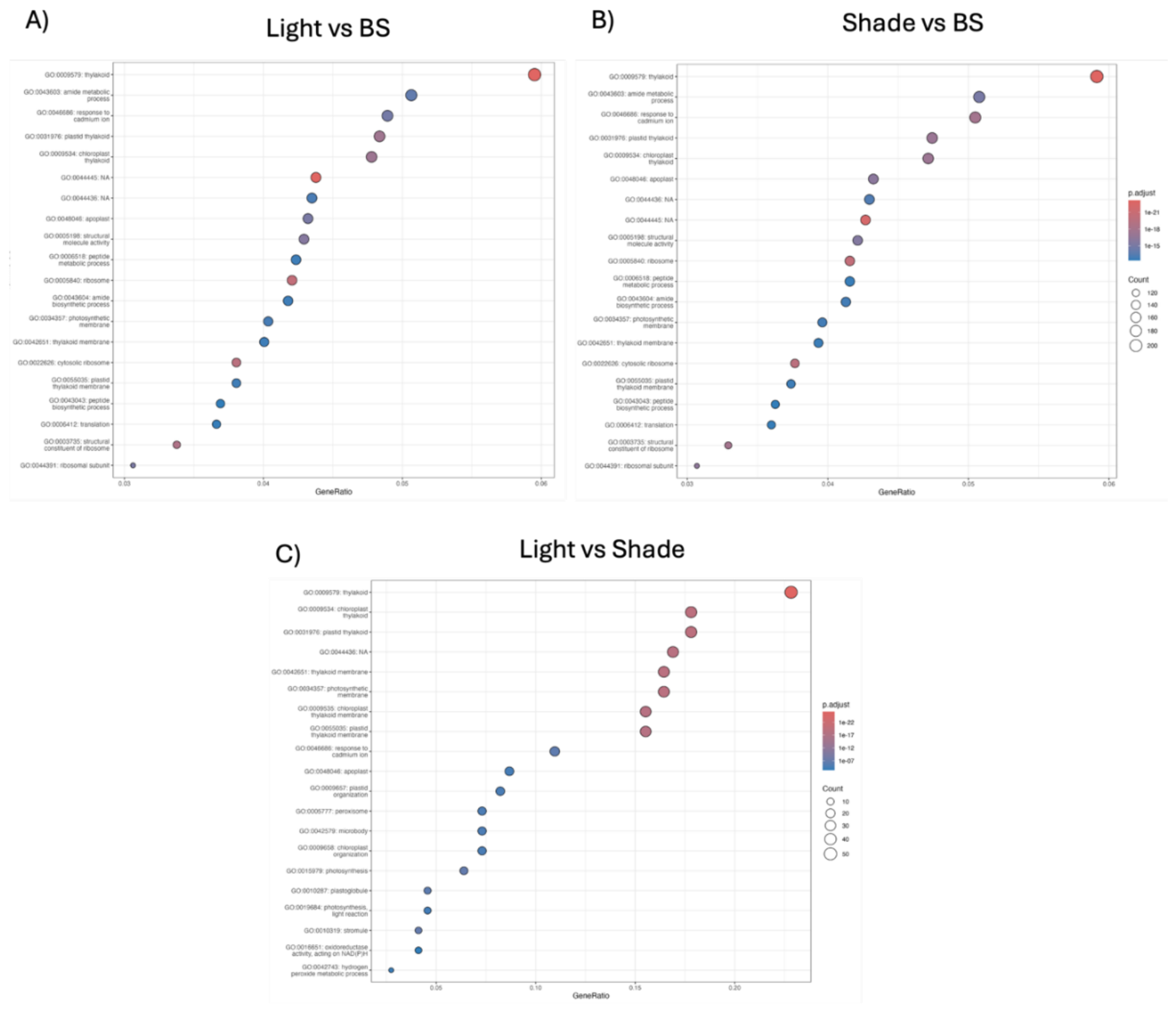 Preprints 222108 g005 Preprints 222108 g005