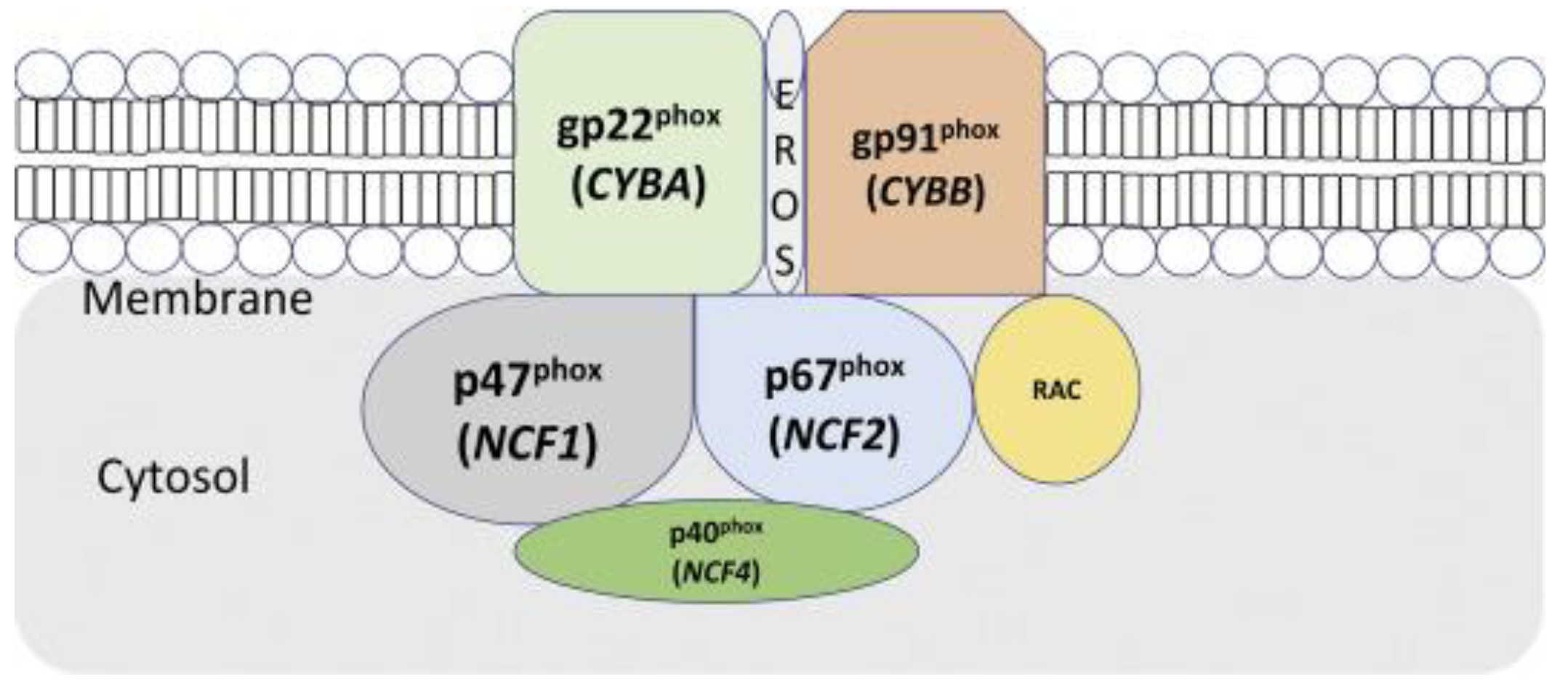 Preprints 80332 g002