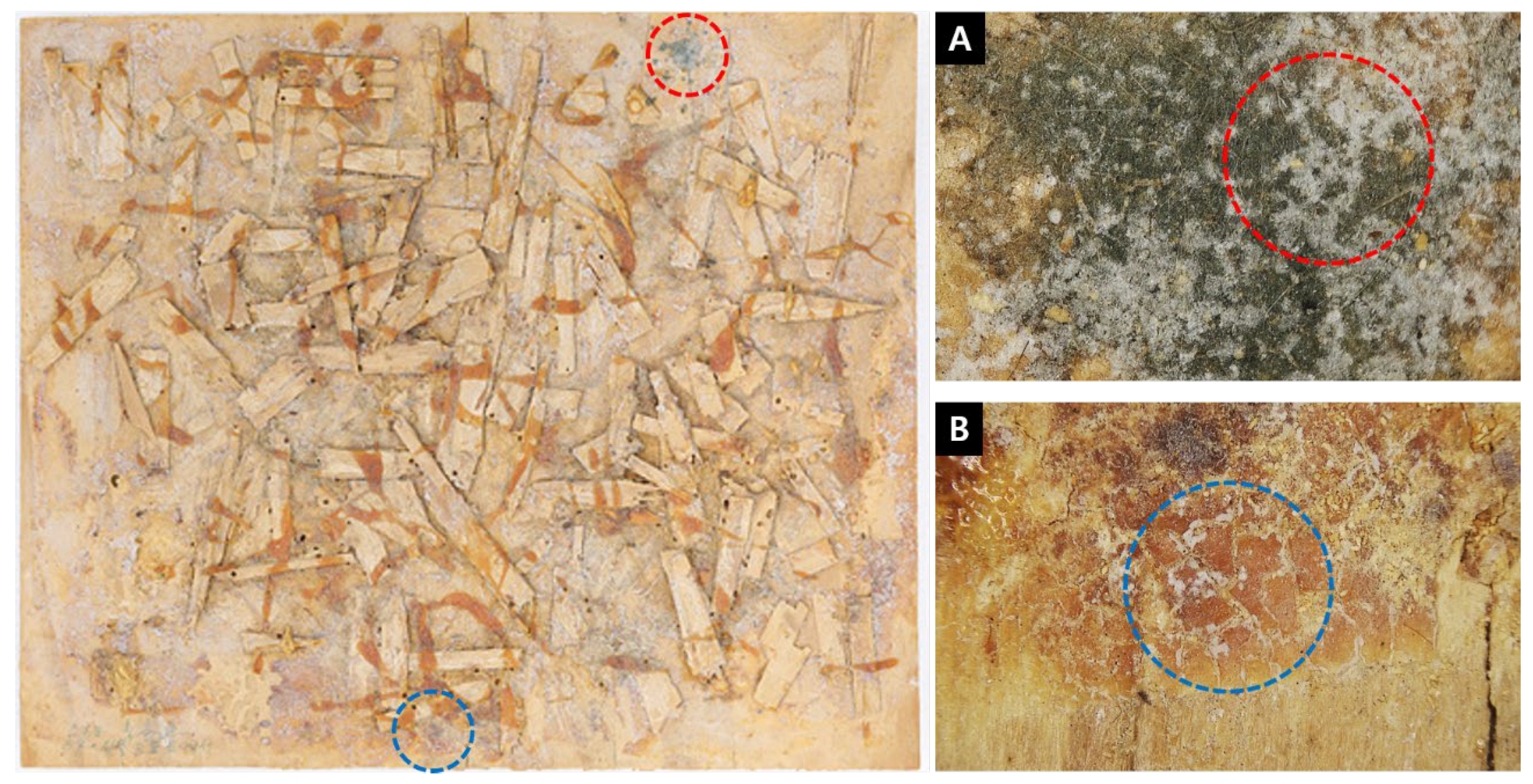 Preprints 143858 g001
