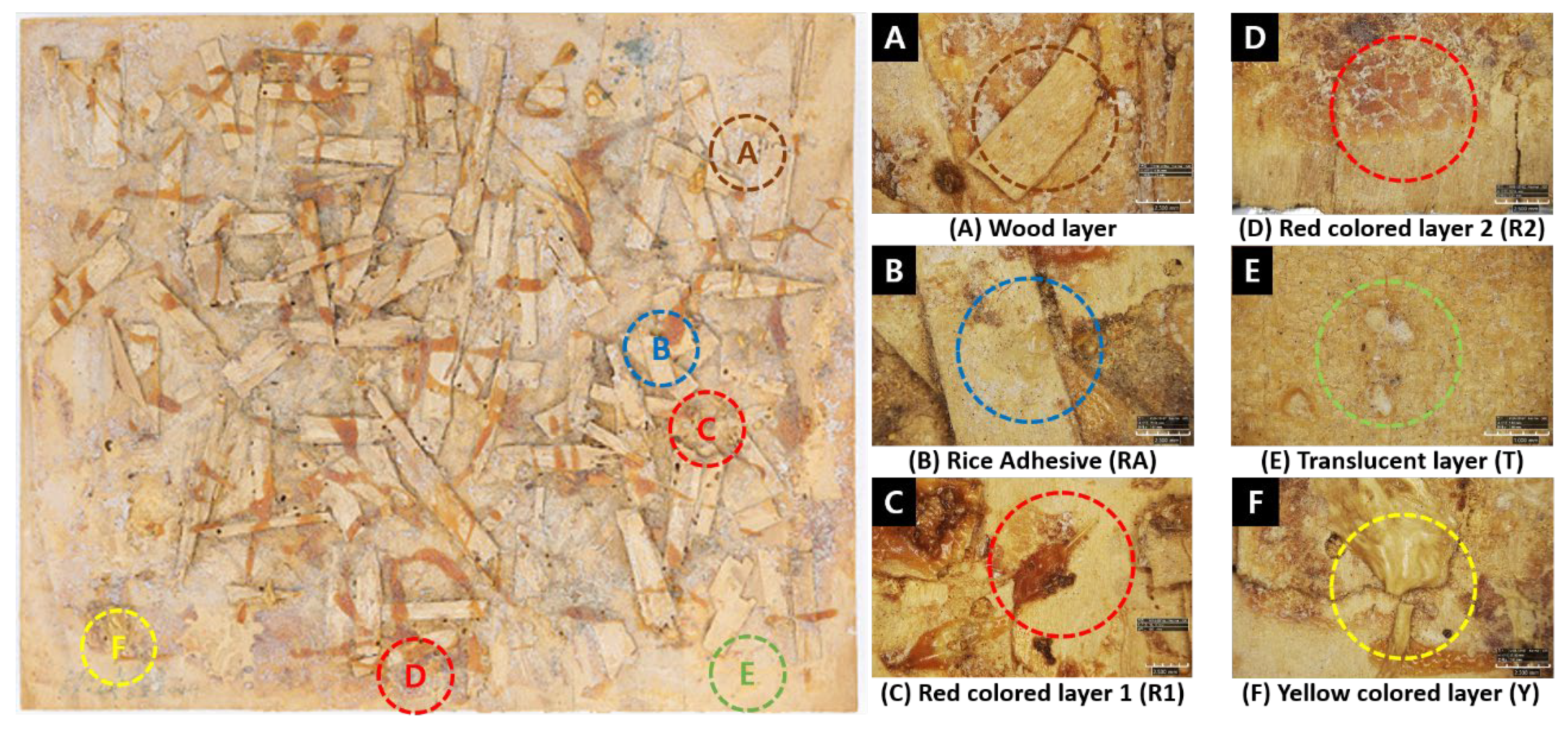 Preprints 143858 g002