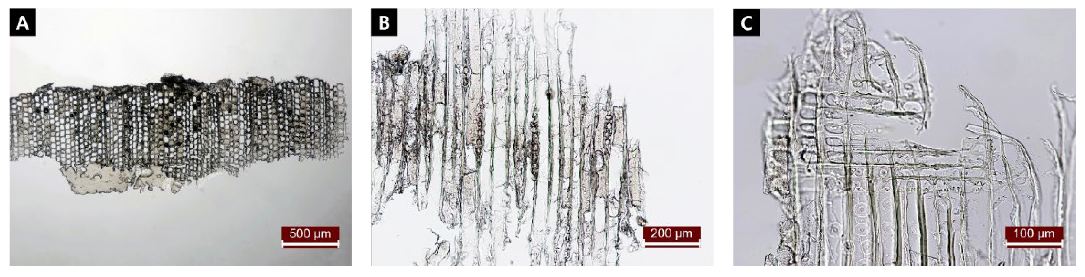 Preprints 143858 g003