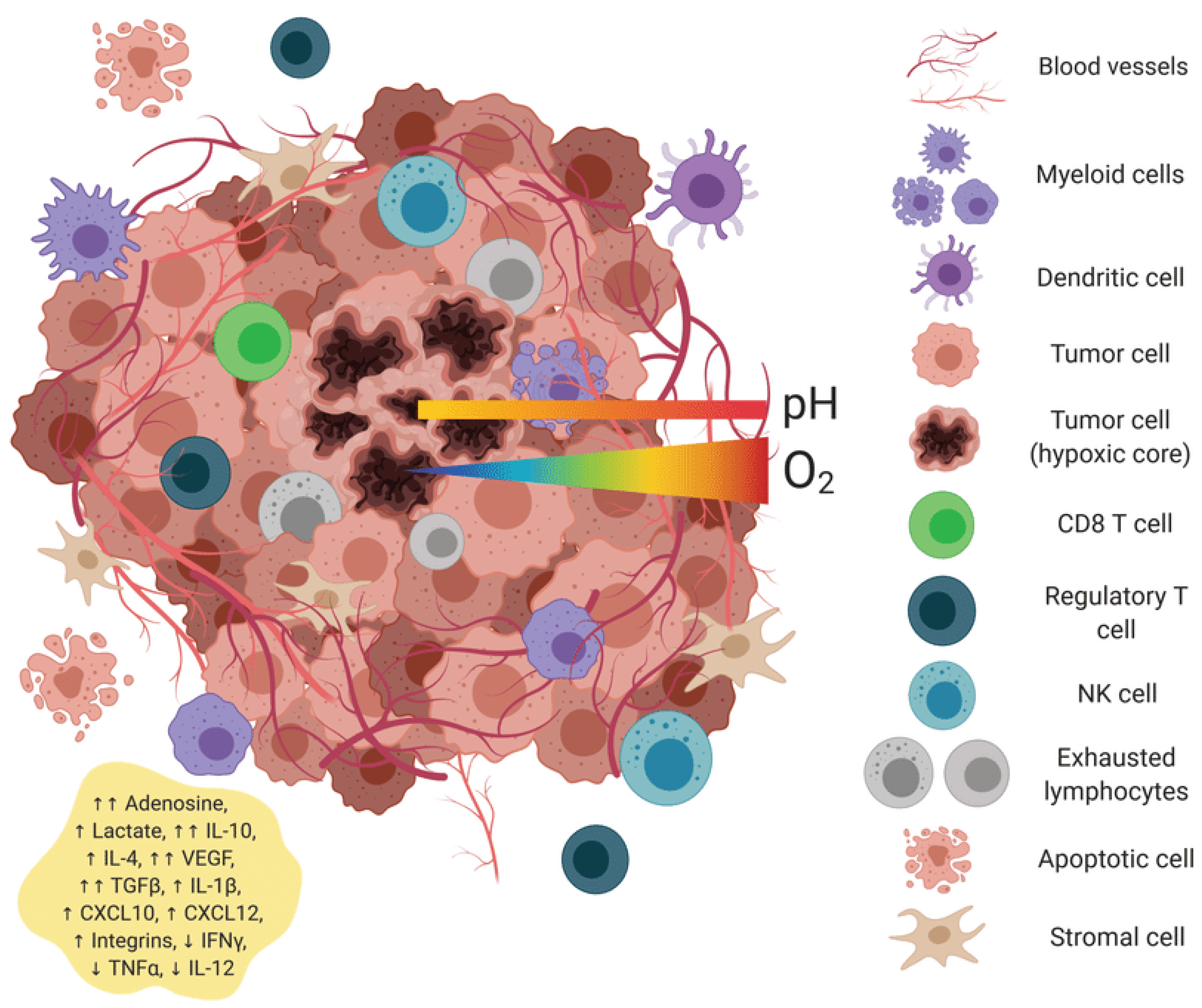 Preprints 171622 g001