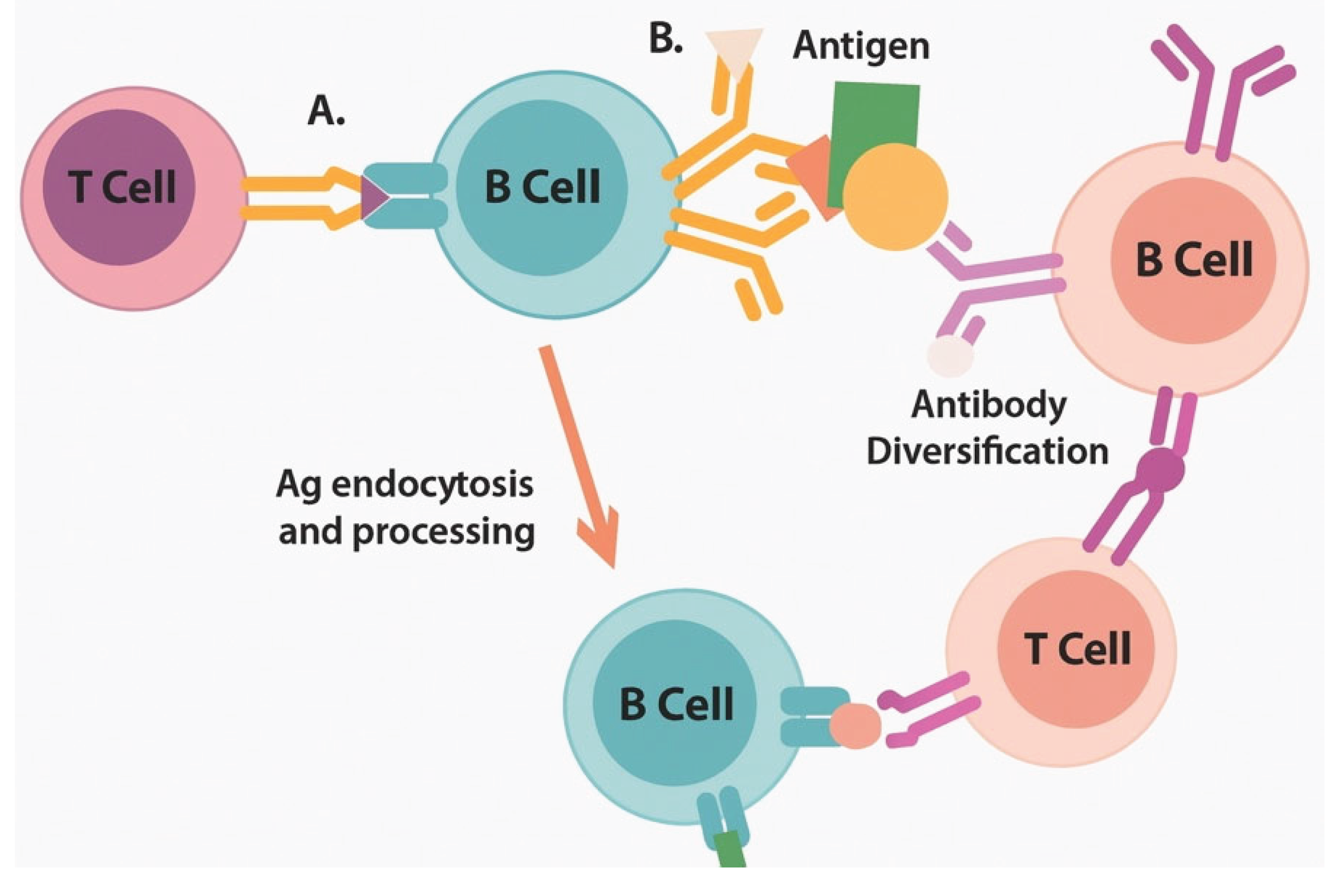 Preprints 171622 g002