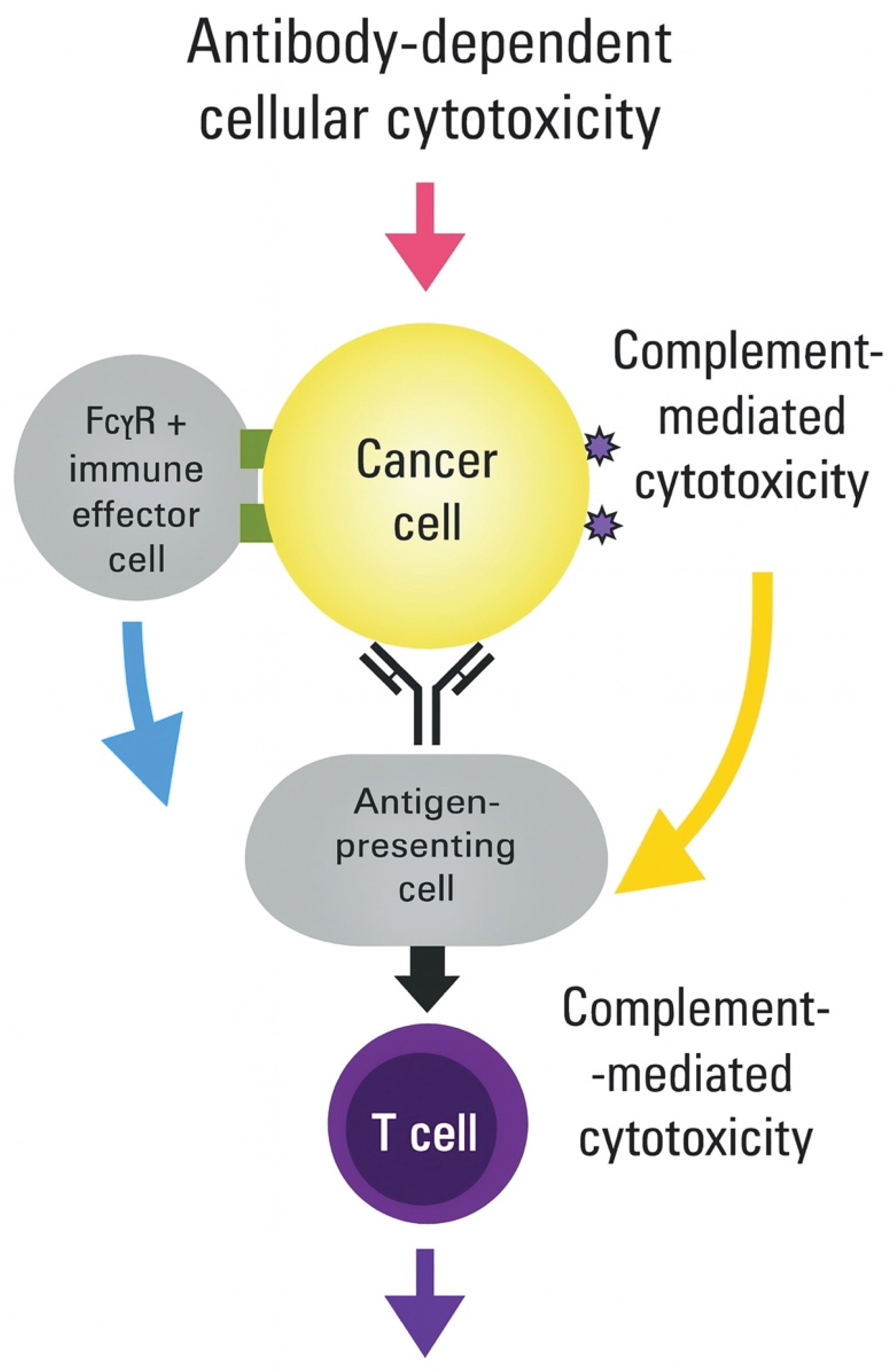 Preprints 171622 g003
