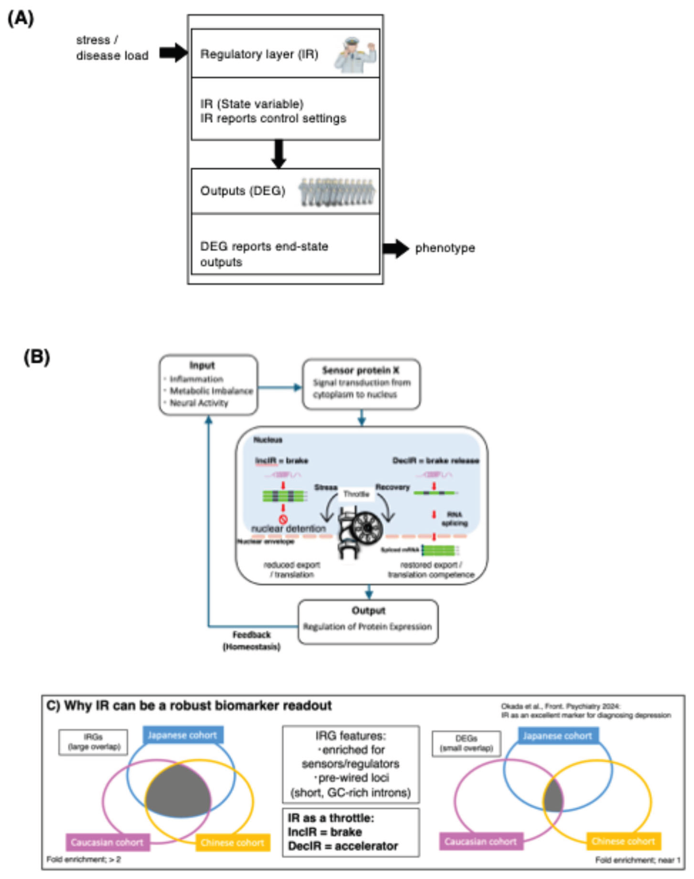 Preprints 200420 g001
