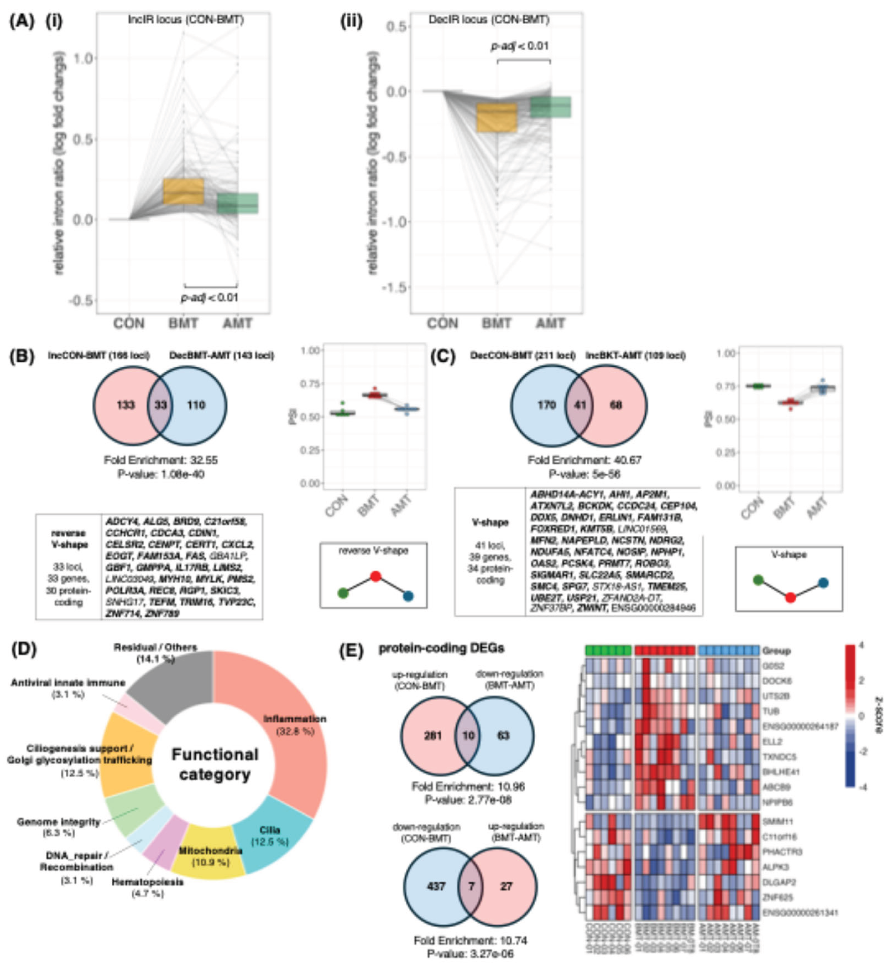 Preprints 200420 g002