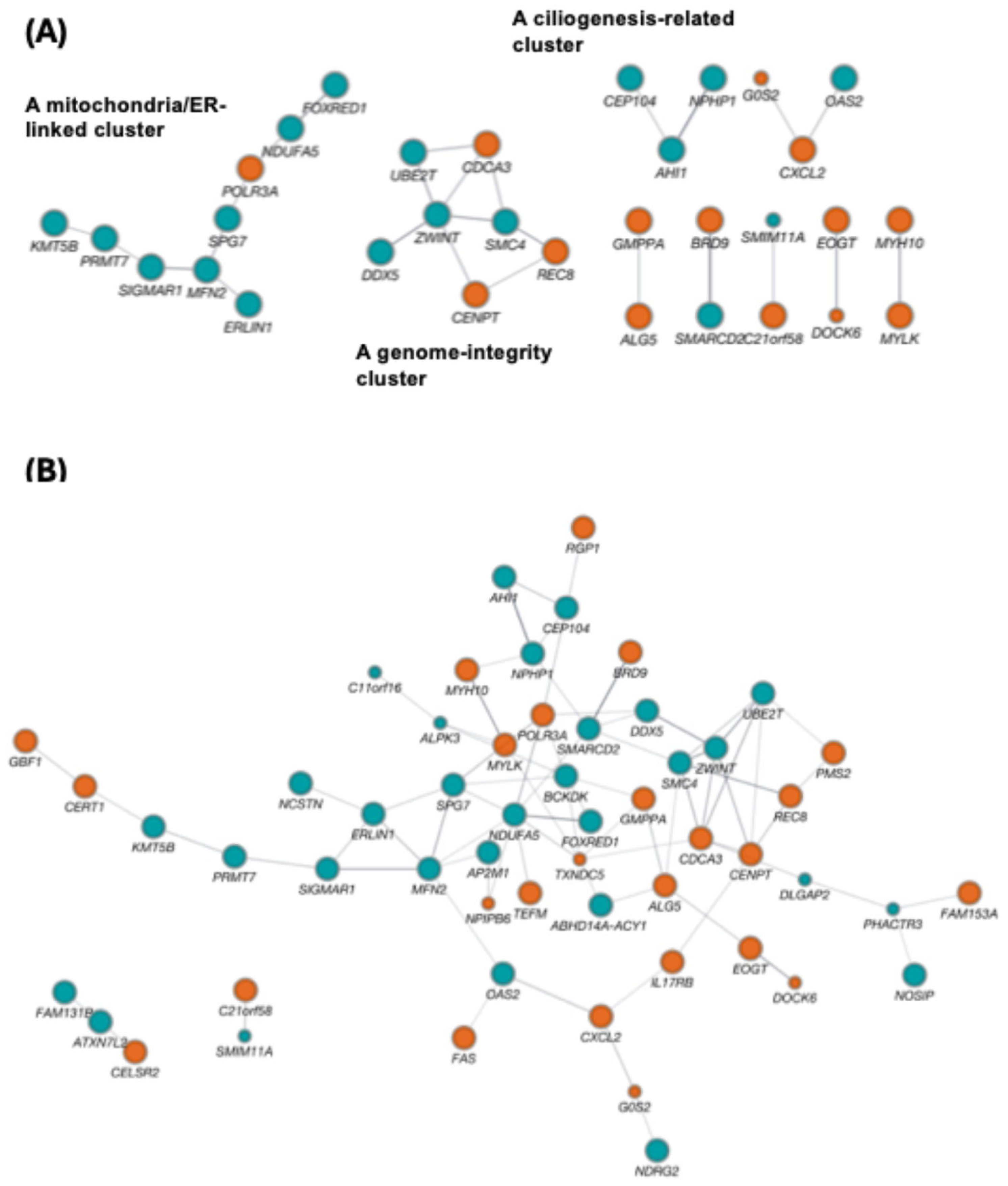 Preprints 200420 g003