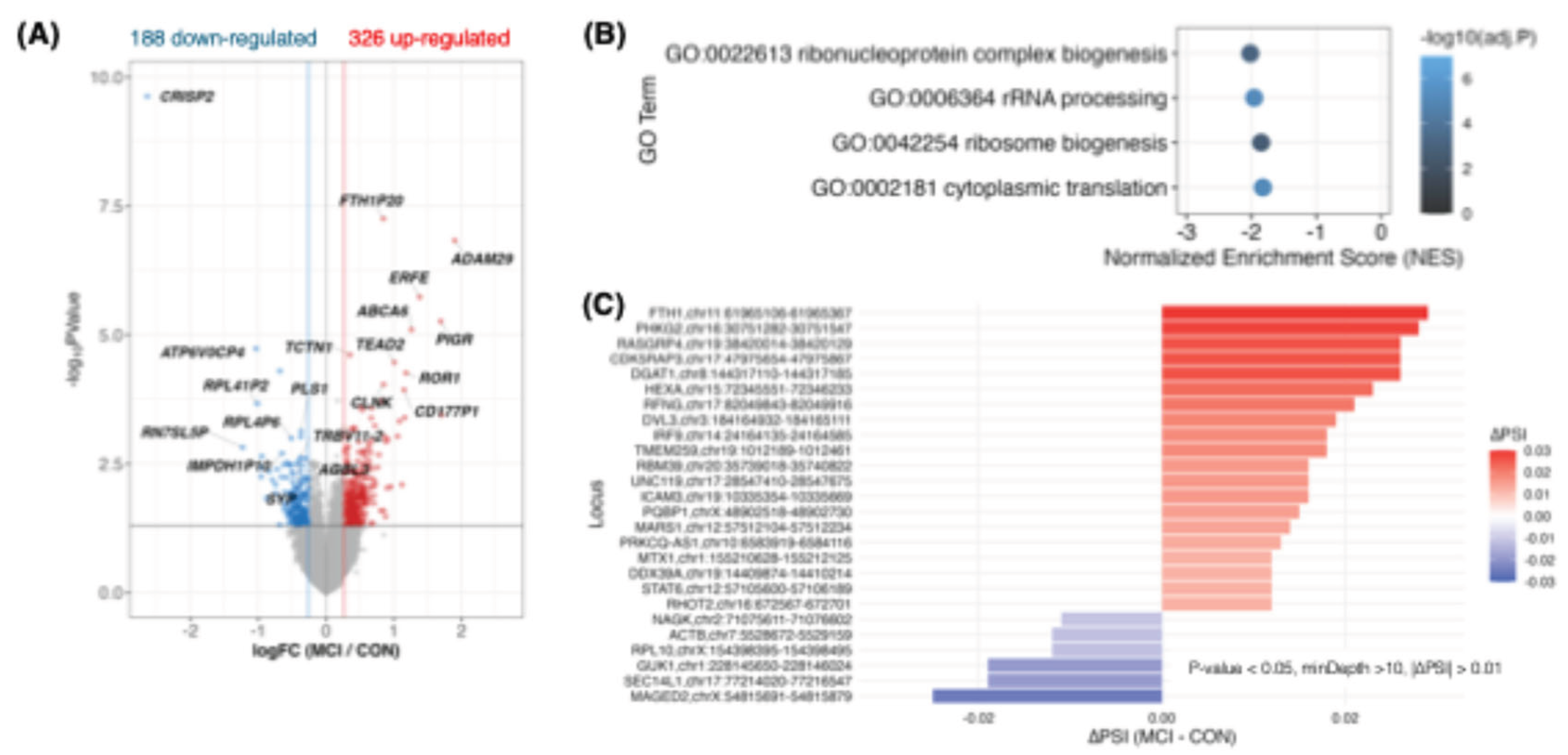Preprints 200420 g005