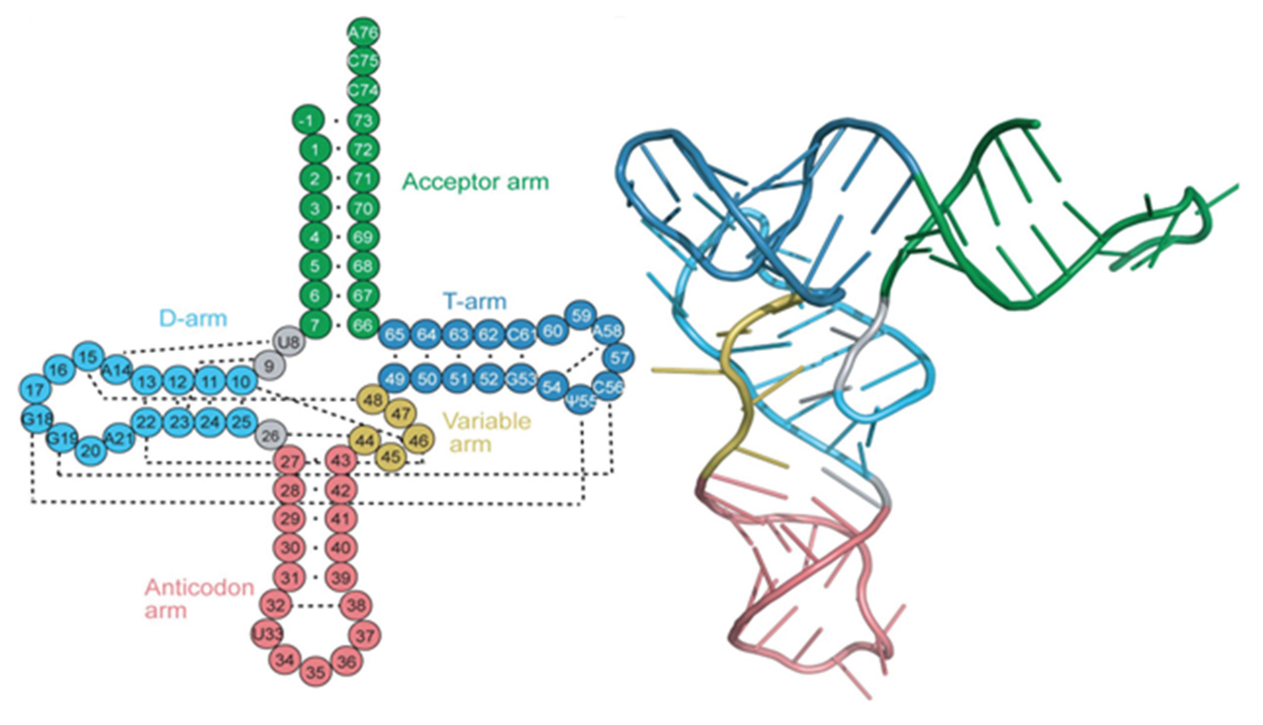 Preprints 191661 g002