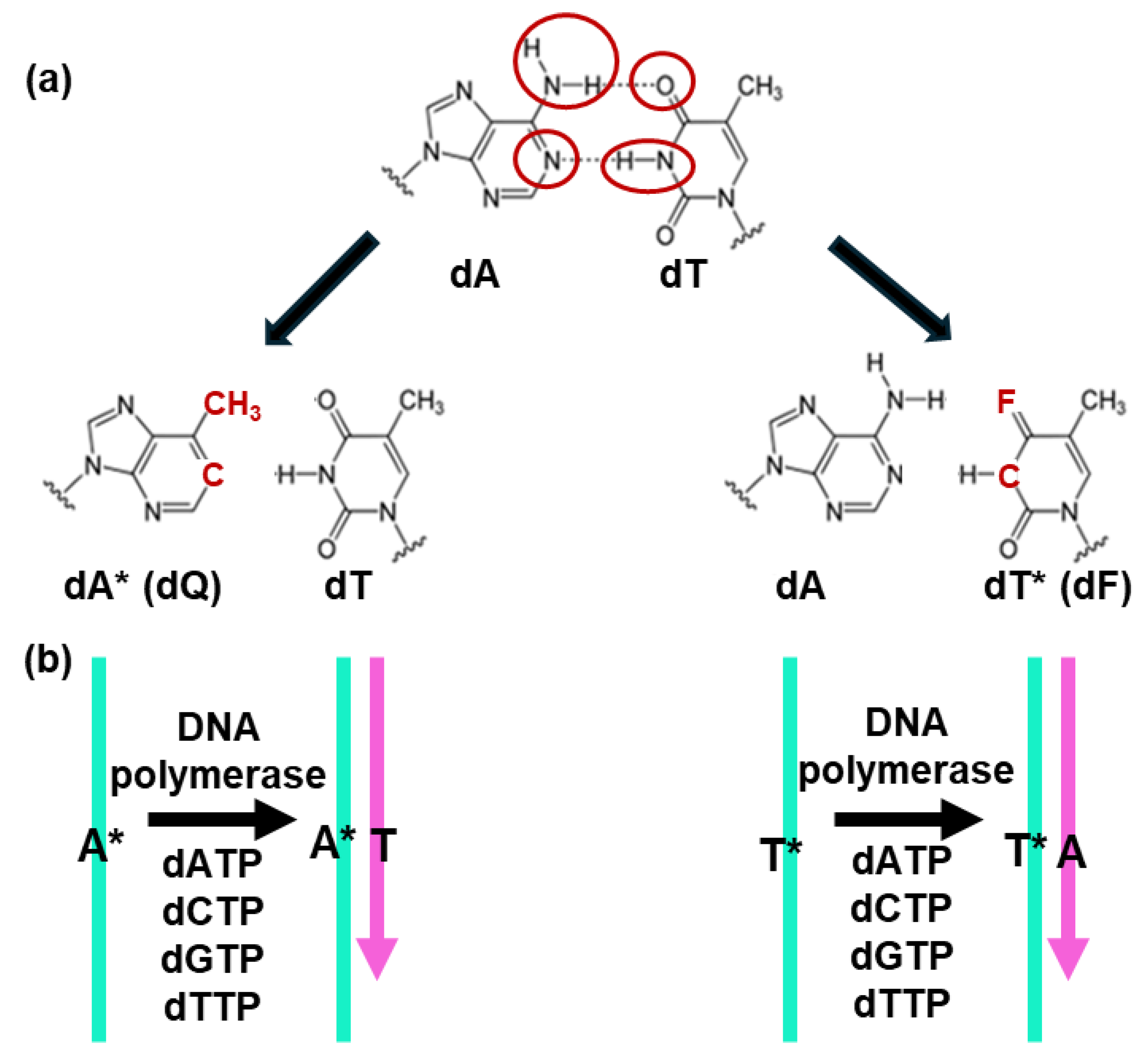 Preprints 191661 g003
