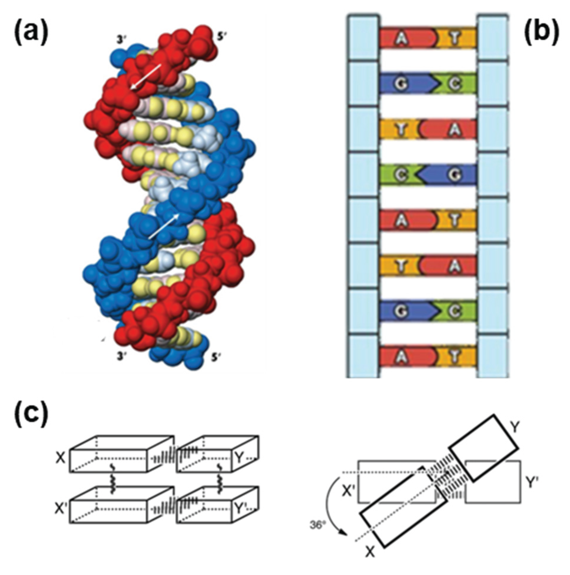 Preprints 191661 g004